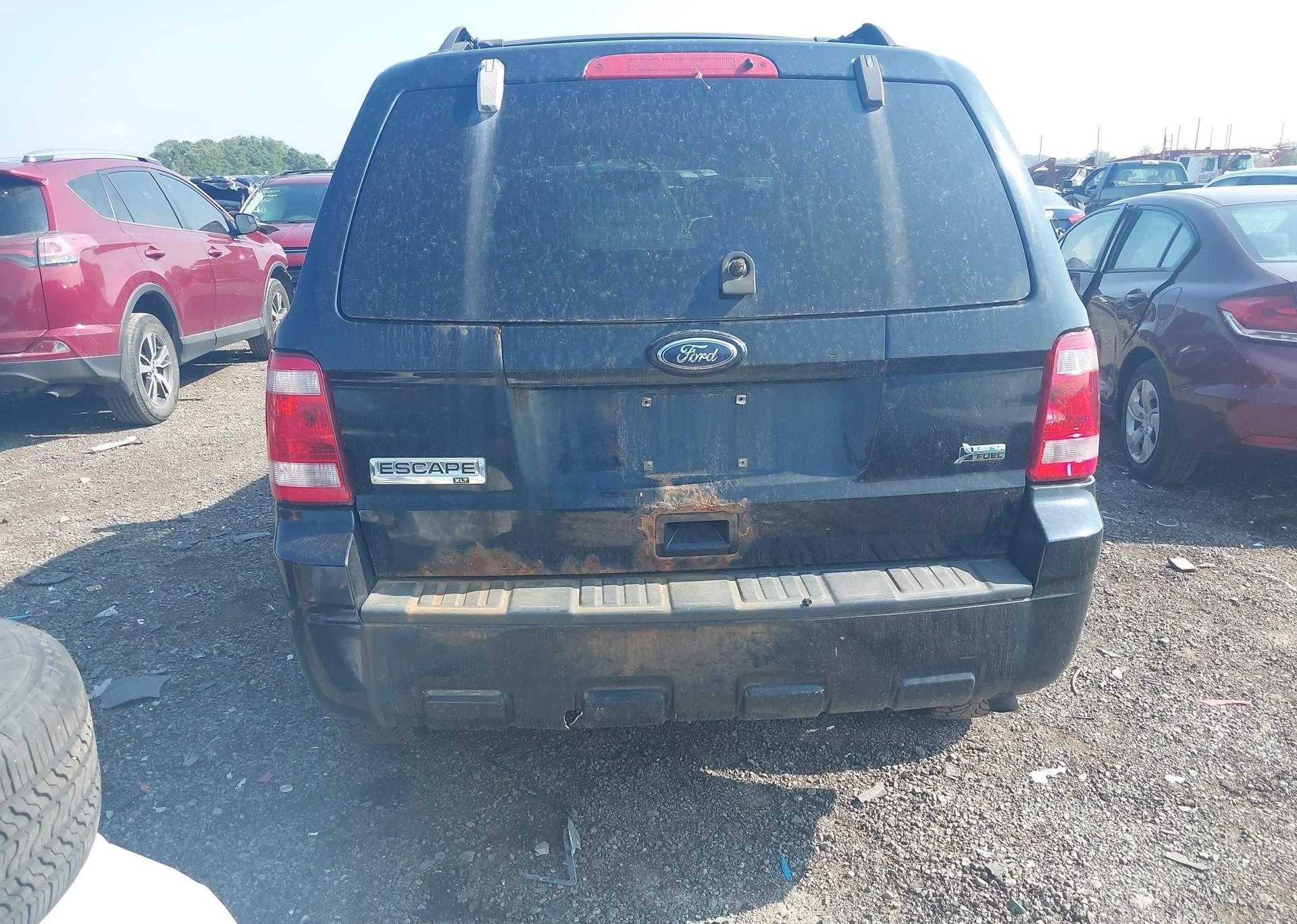 2010 FORD ESCAPE XLT