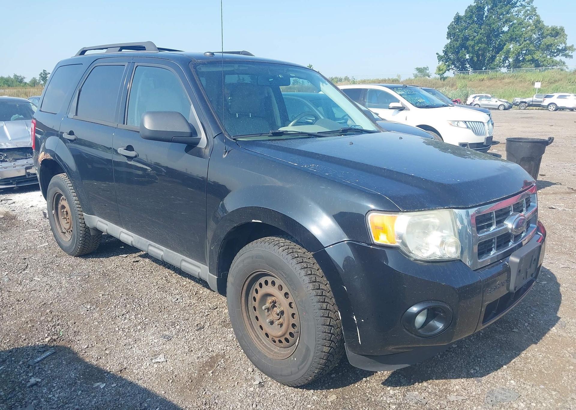 2010 FORD ESCAPE XLT