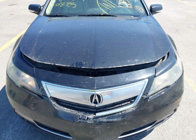 2013 ACURA TL