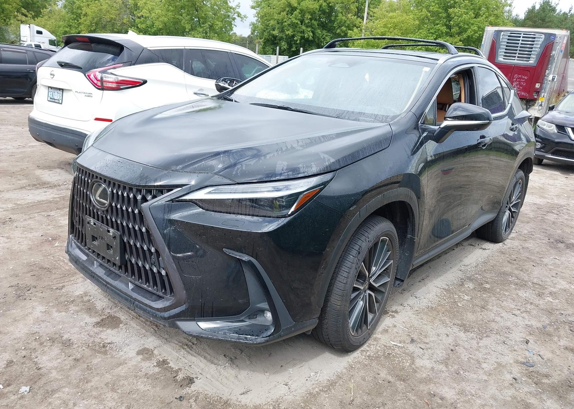 2022 LEXUS NX 450H+