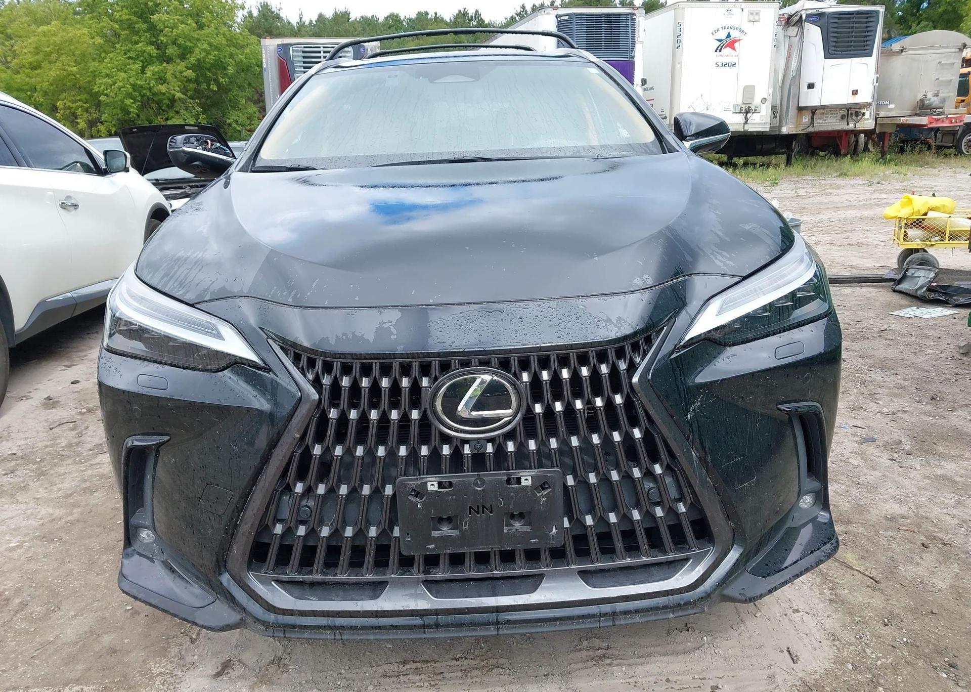 2022 LEXUS NX 450H+