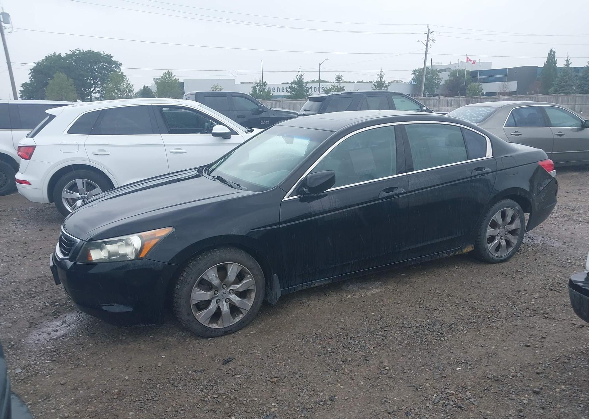 2010 HONDA ACCORD EX-L