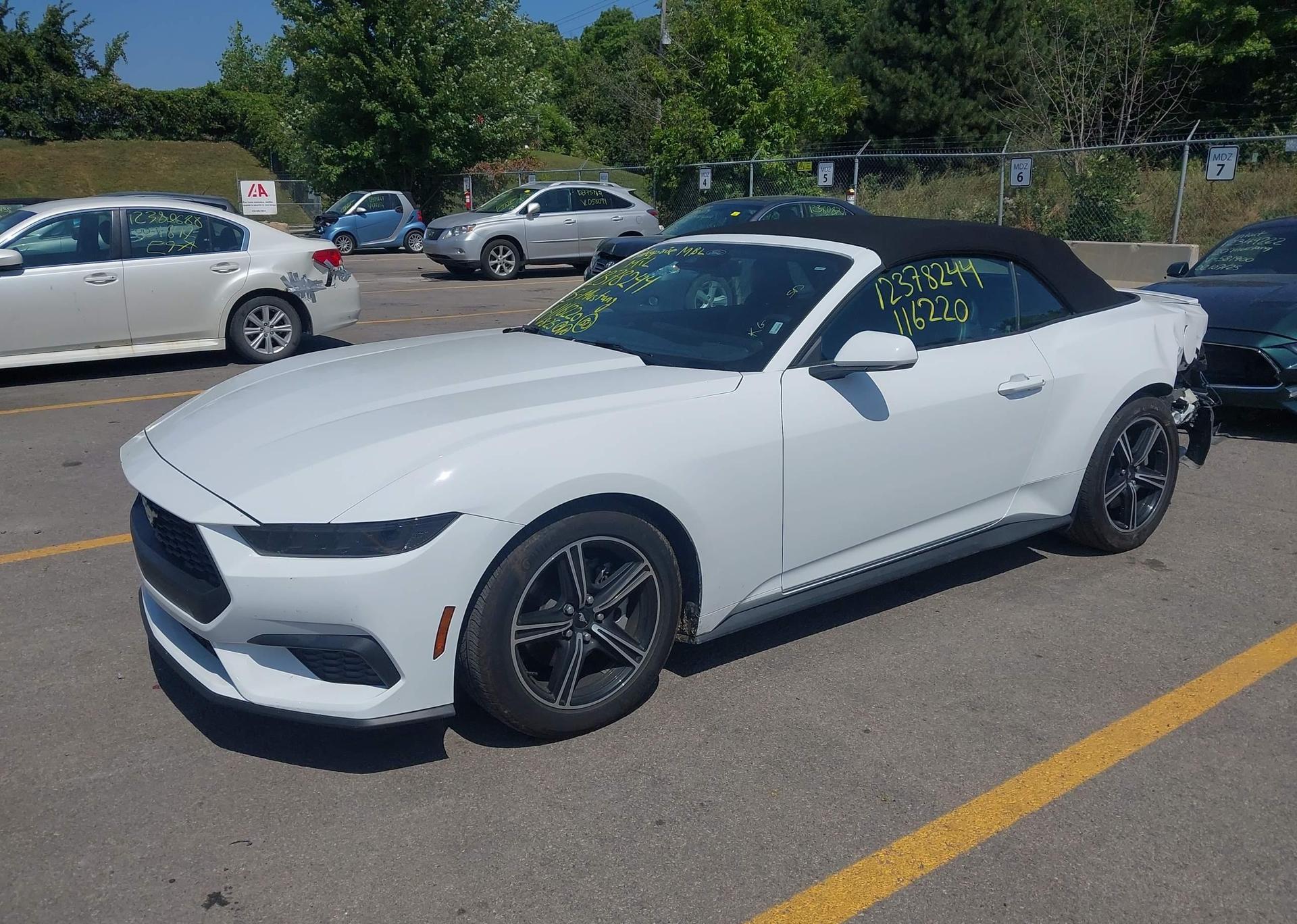 2025 FORD MUSTANG
