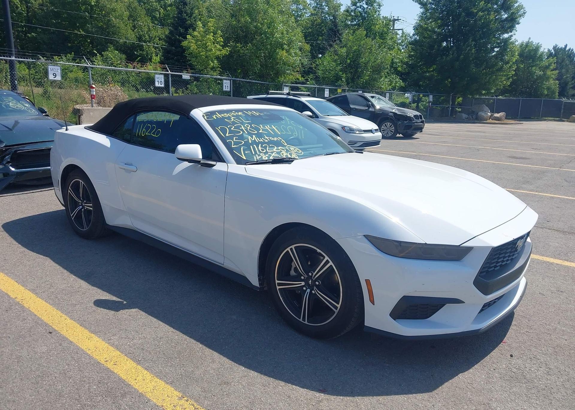 2025 FORD MUSTANG