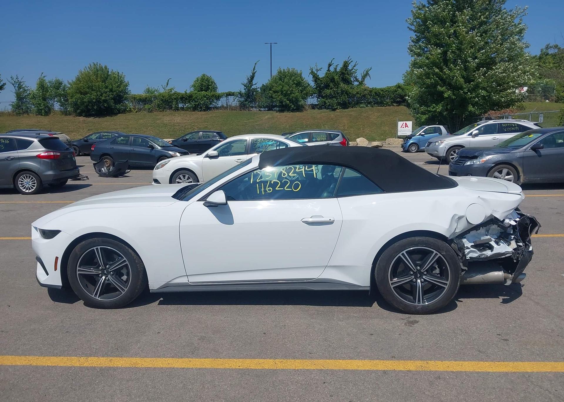 2025 FORD MUSTANG