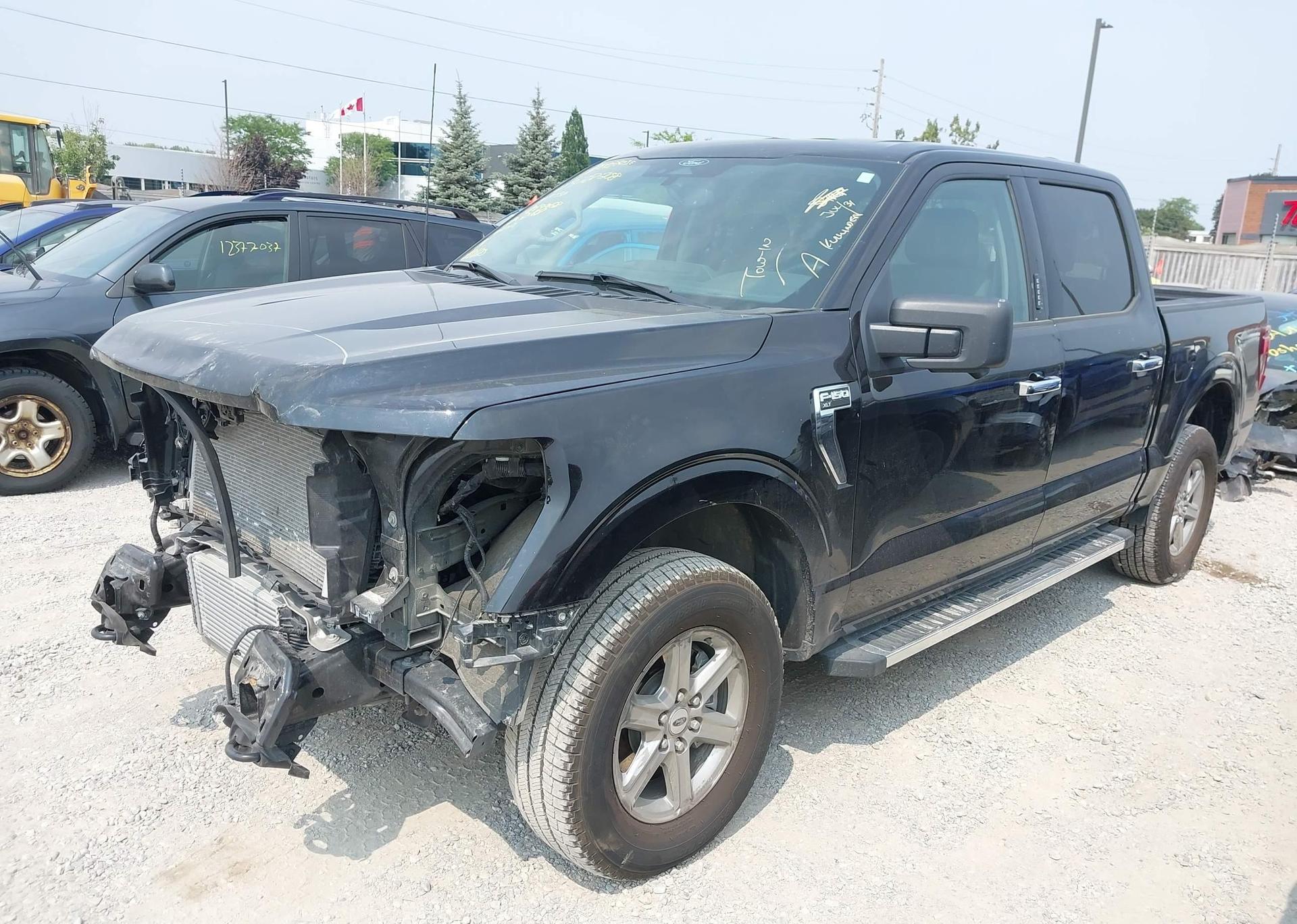 2024 FORD F150 XLT