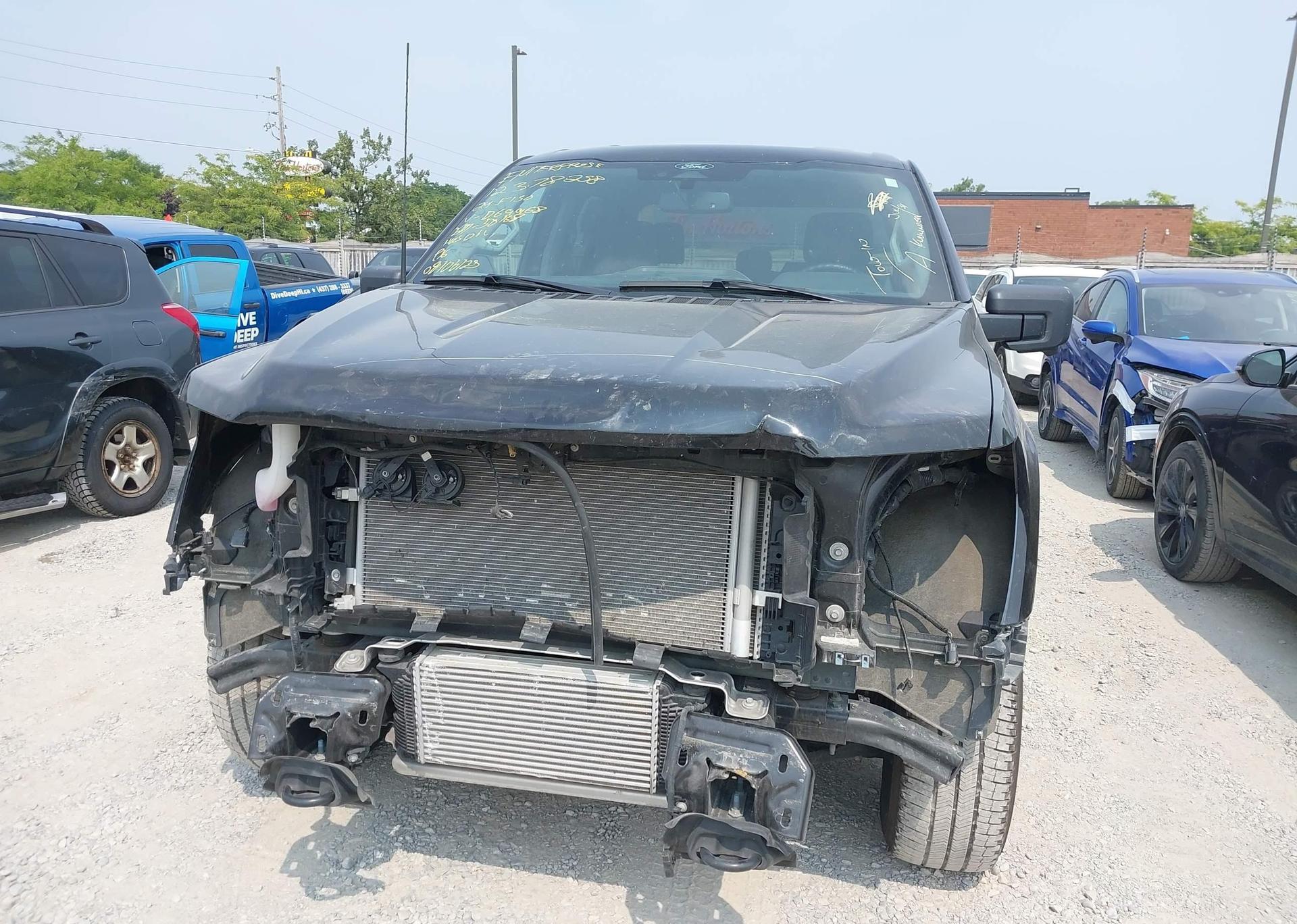 2024 FORD F150 XLT