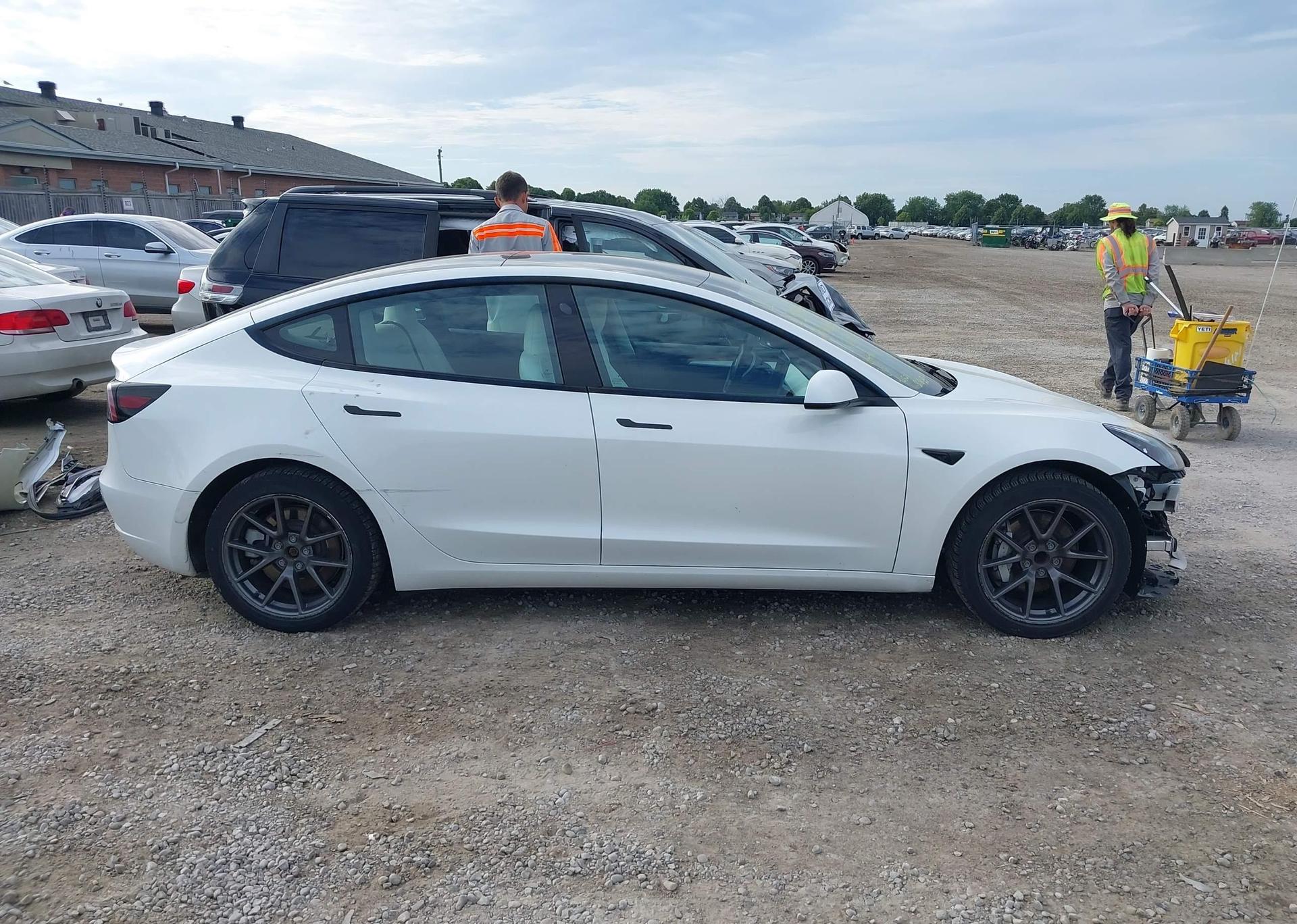 2022 TESLA MODEL 3 RWD