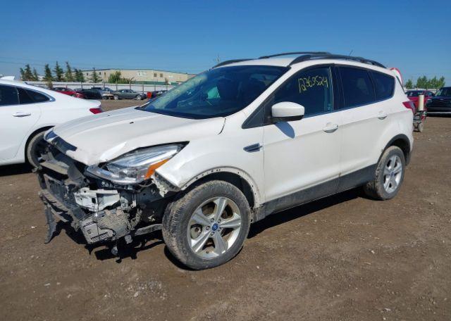 2013 FORD ESCAPE SE