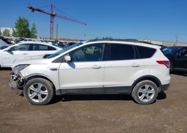 2013 FORD ESCAPE SE