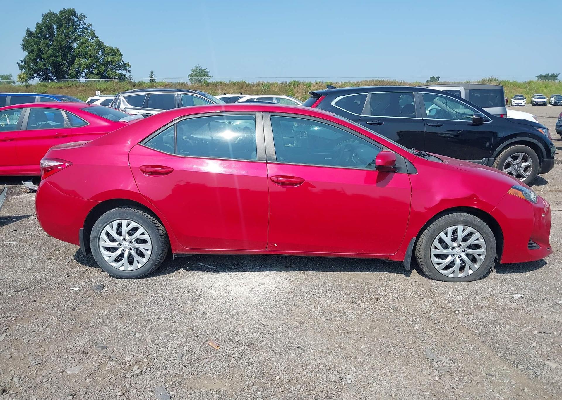 2019 TOYOTA COROLLA LE