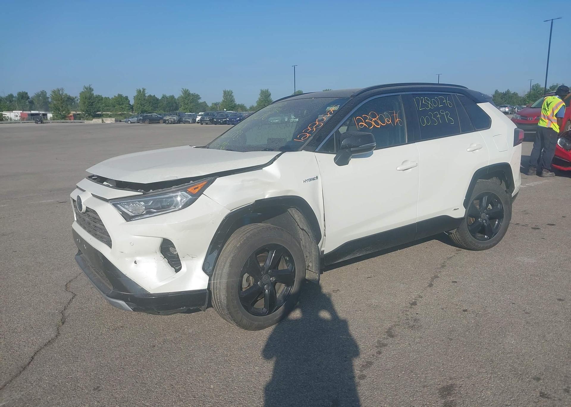 2019 TOYOTA RAV4 XLE