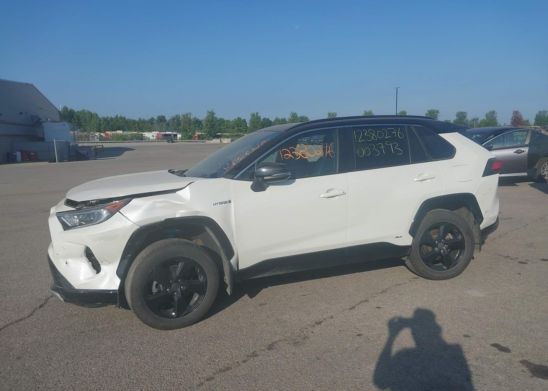 2019 TOYOTA RAV4 XLE
