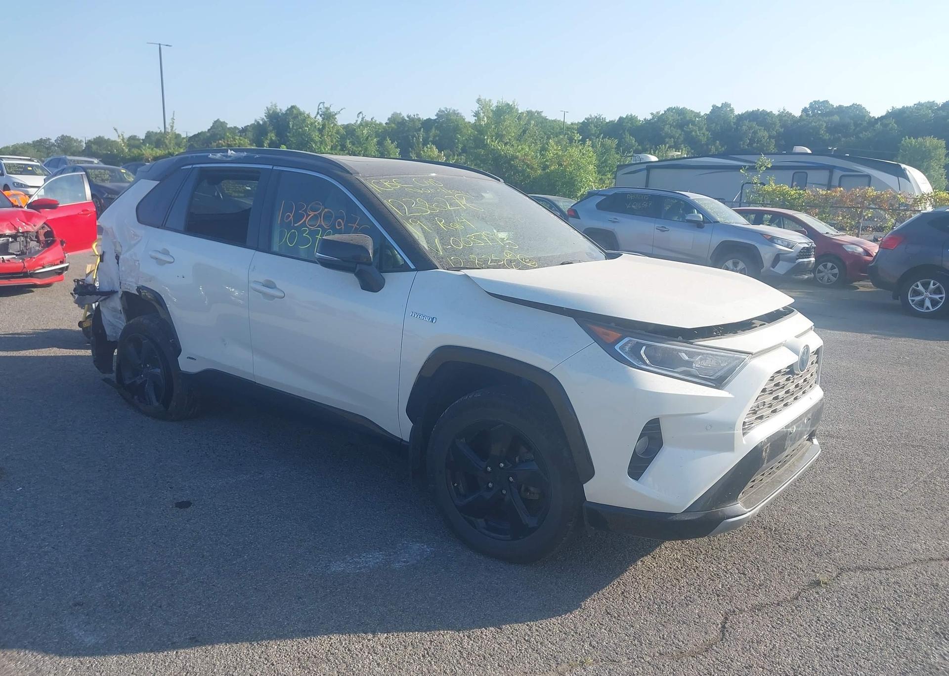 2019 TOYOTA RAV4 XLE
