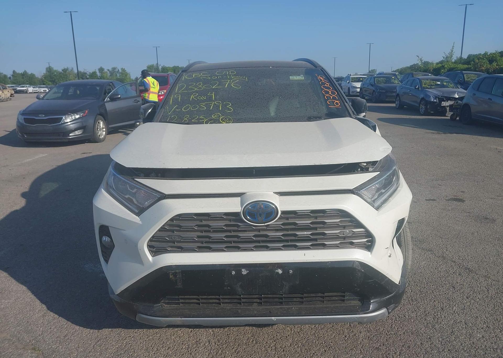 2019 TOYOTA RAV4 XLE