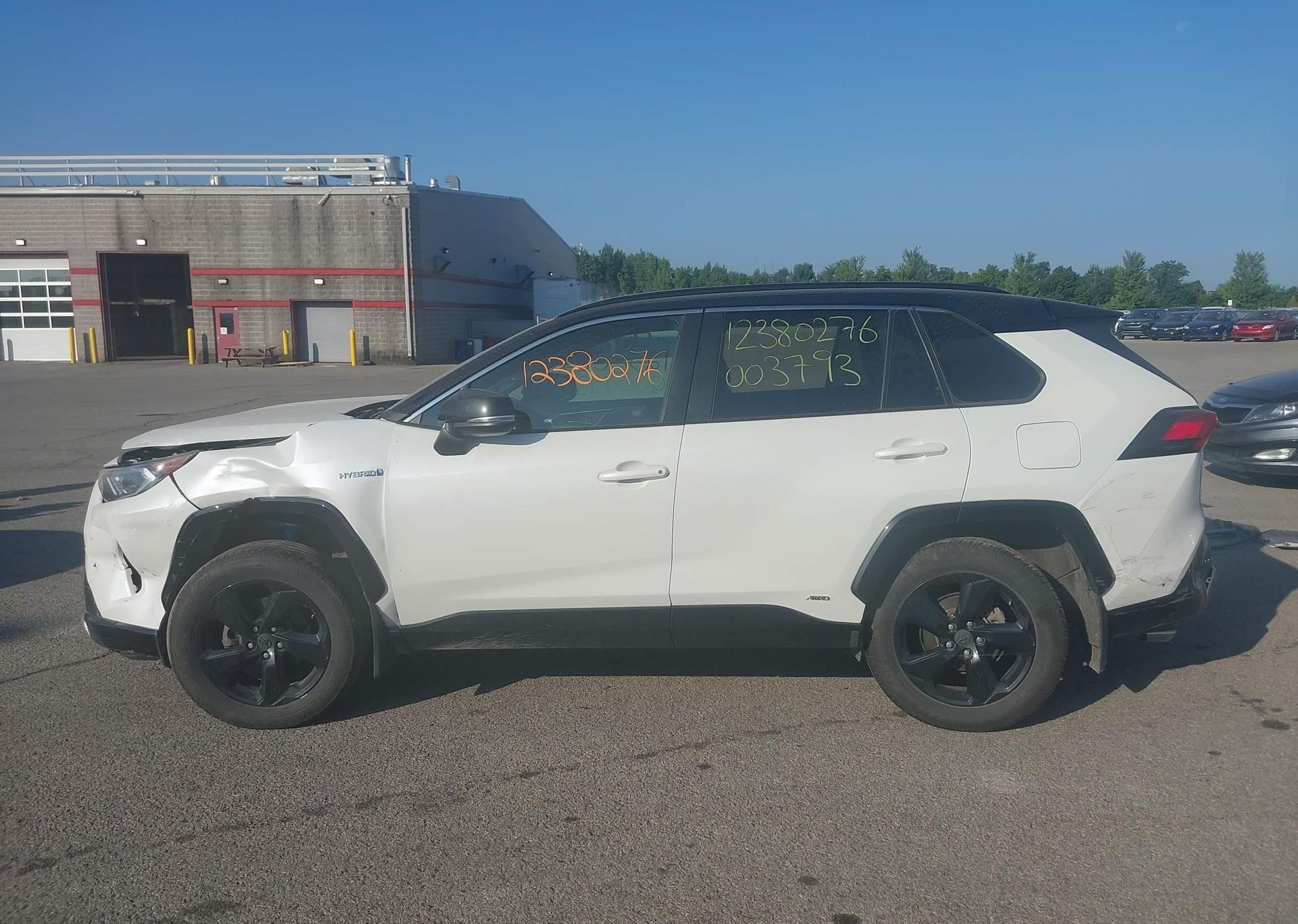 2019 TOYOTA RAV4 XLE