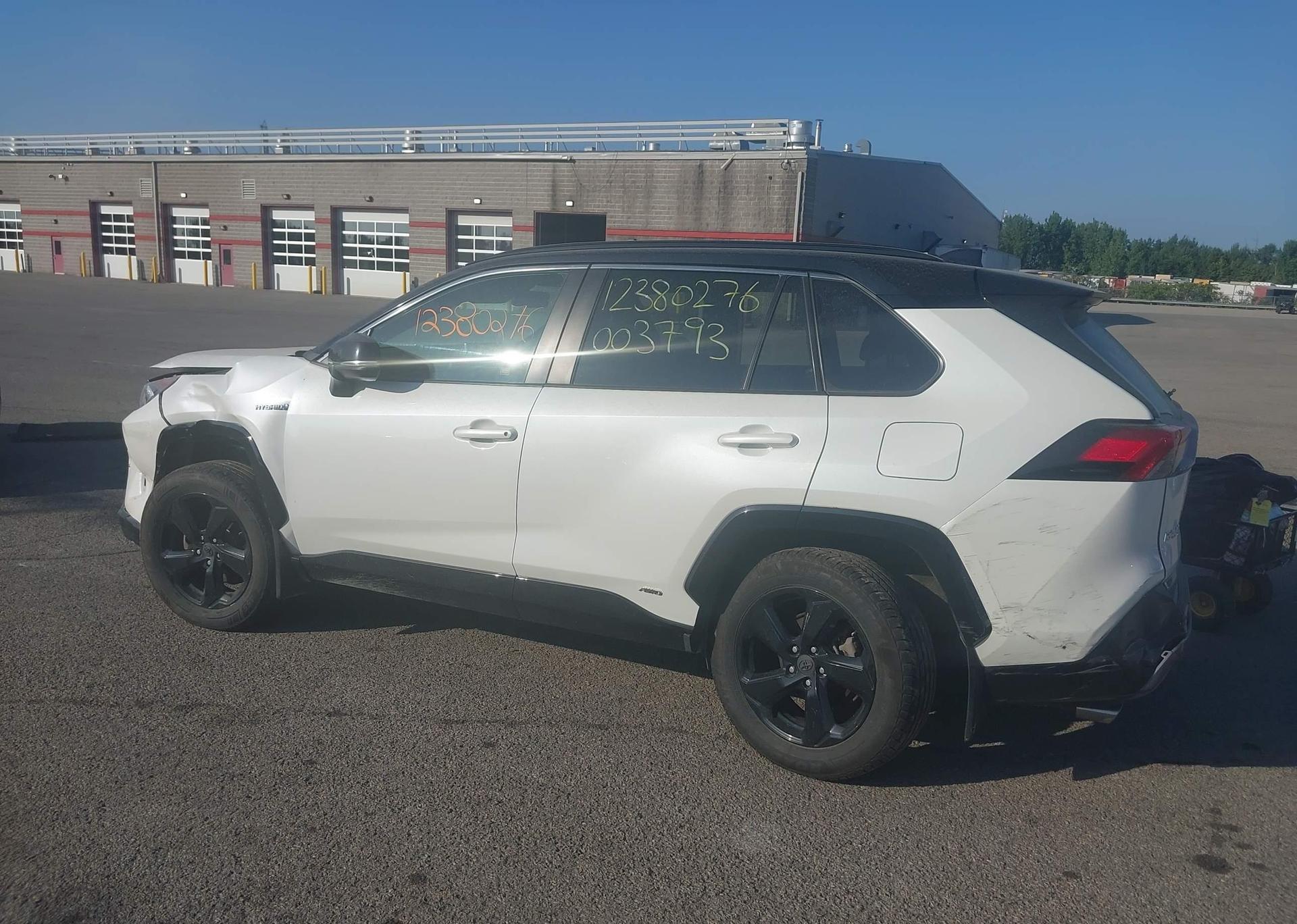 2019 TOYOTA RAV4 XLE
