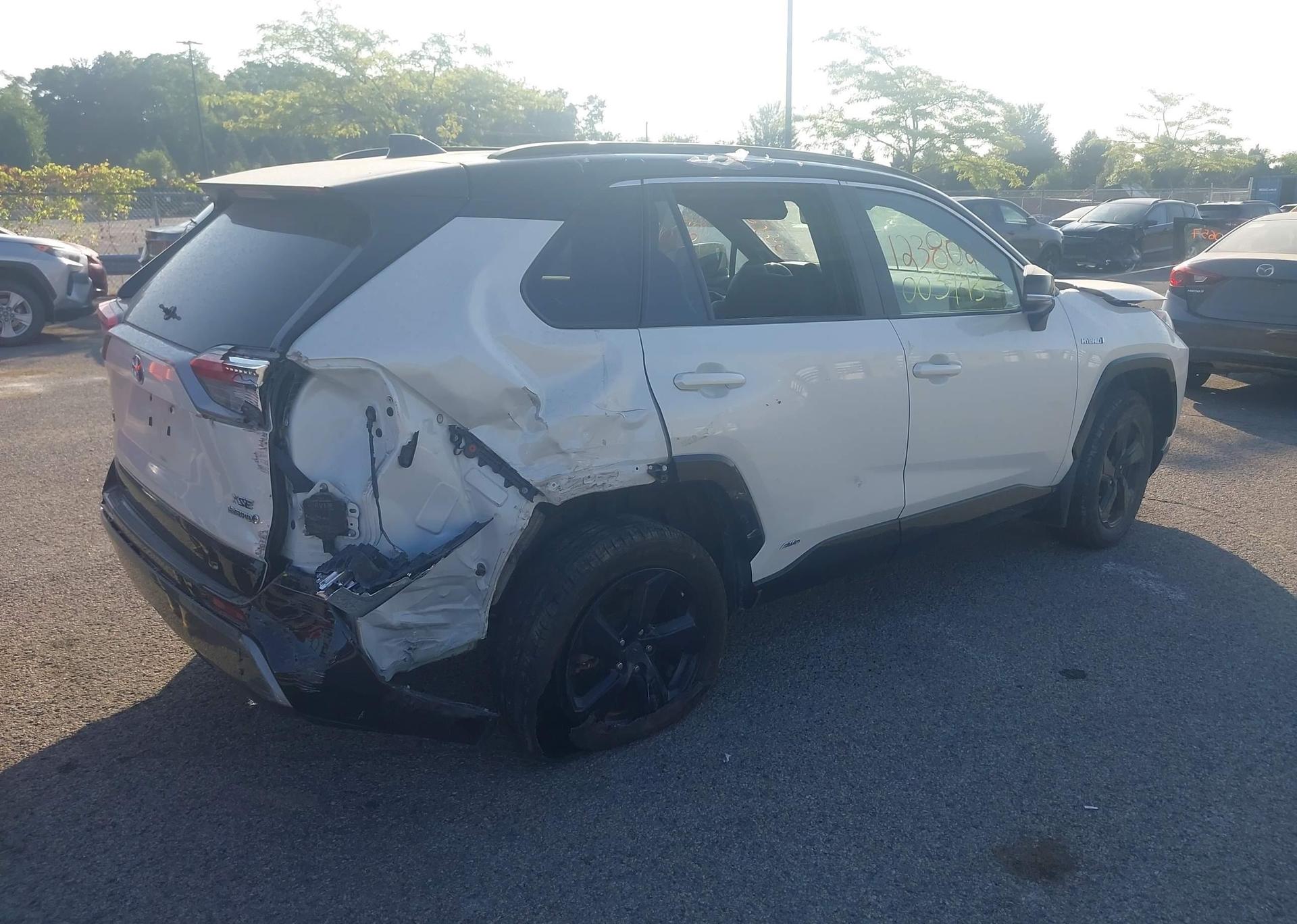 2019 TOYOTA RAV4 XLE