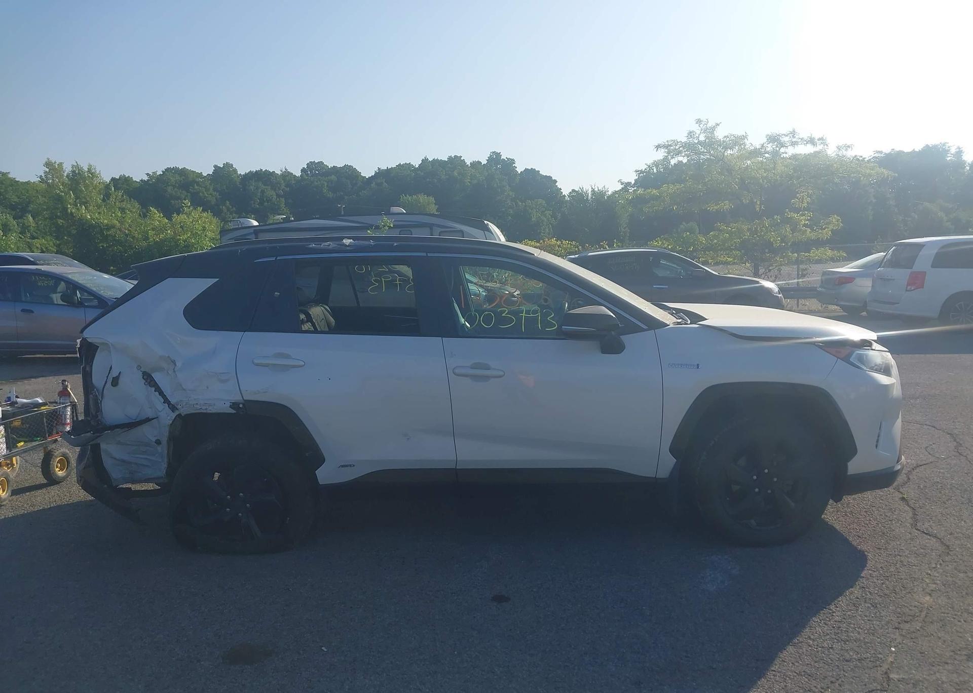 2019 TOYOTA RAV4 XLE