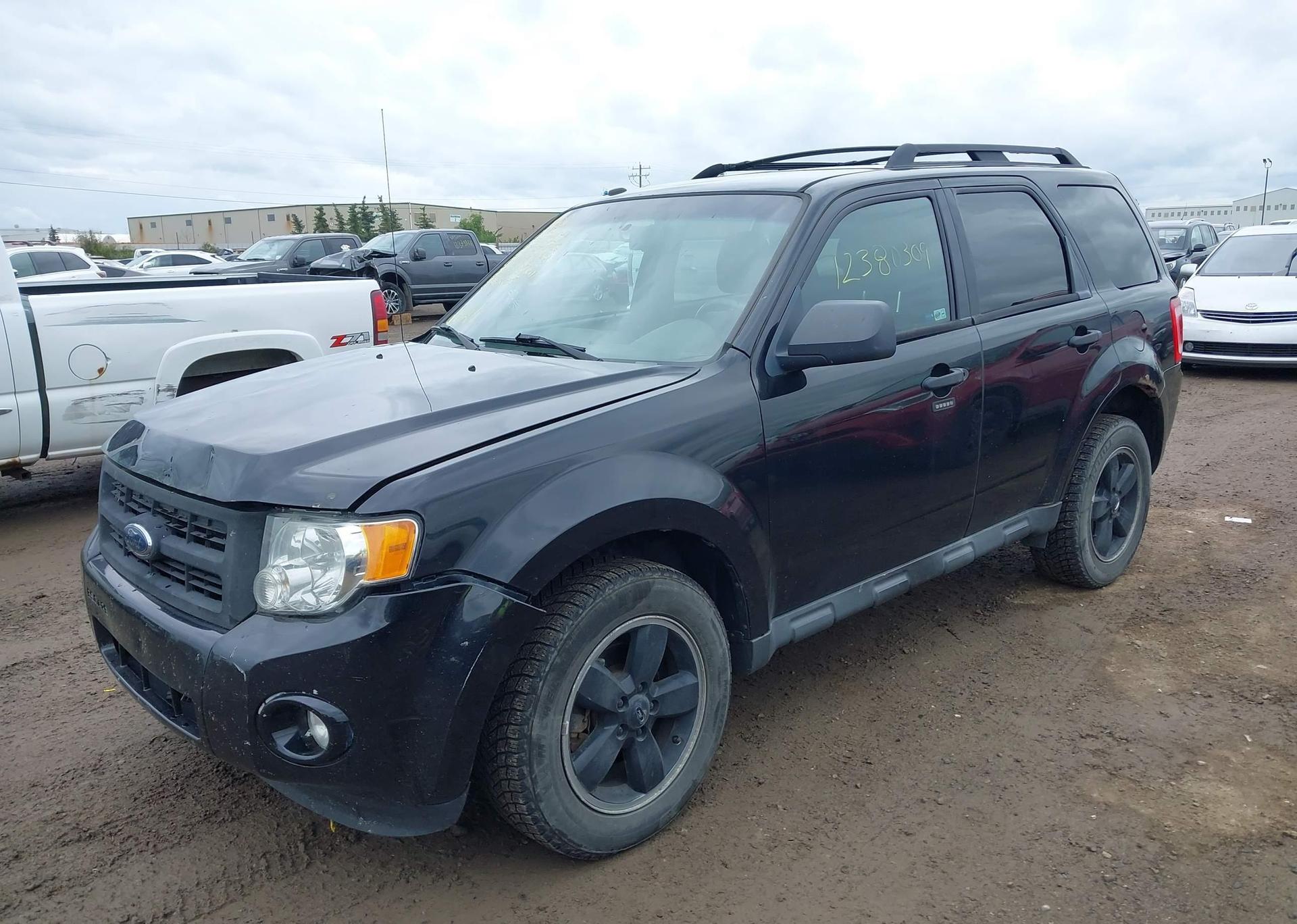 2010 FORD ESCAPE XLT