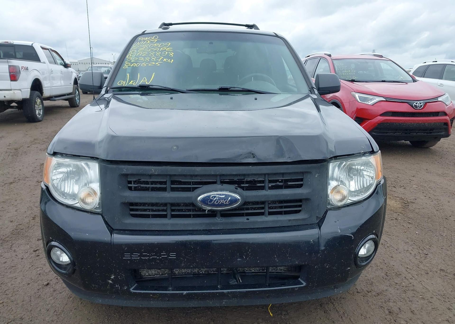 2010 FORD ESCAPE XLT