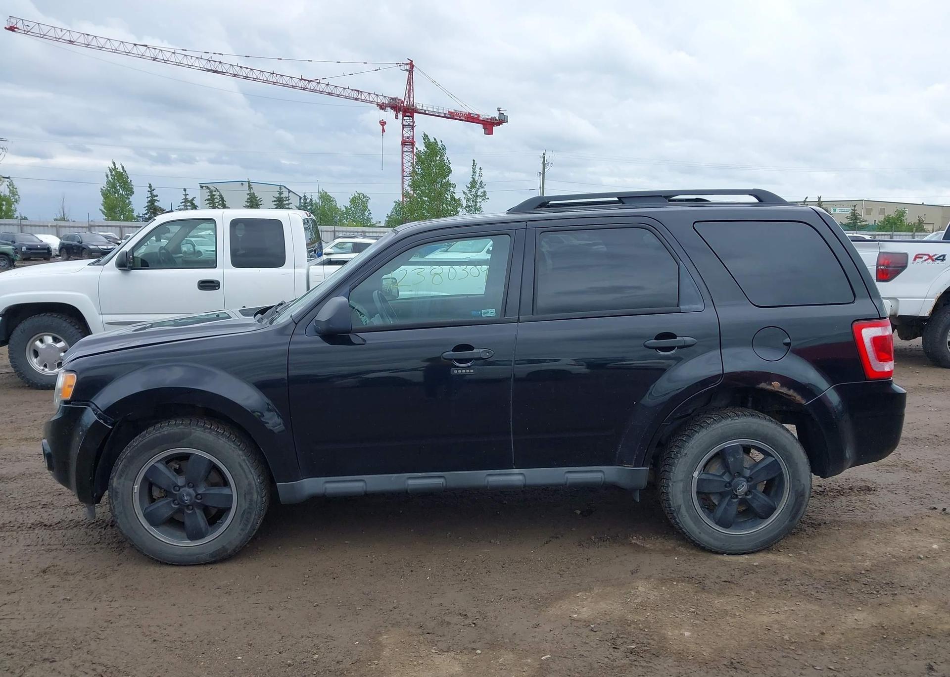 2010 FORD ESCAPE XLT