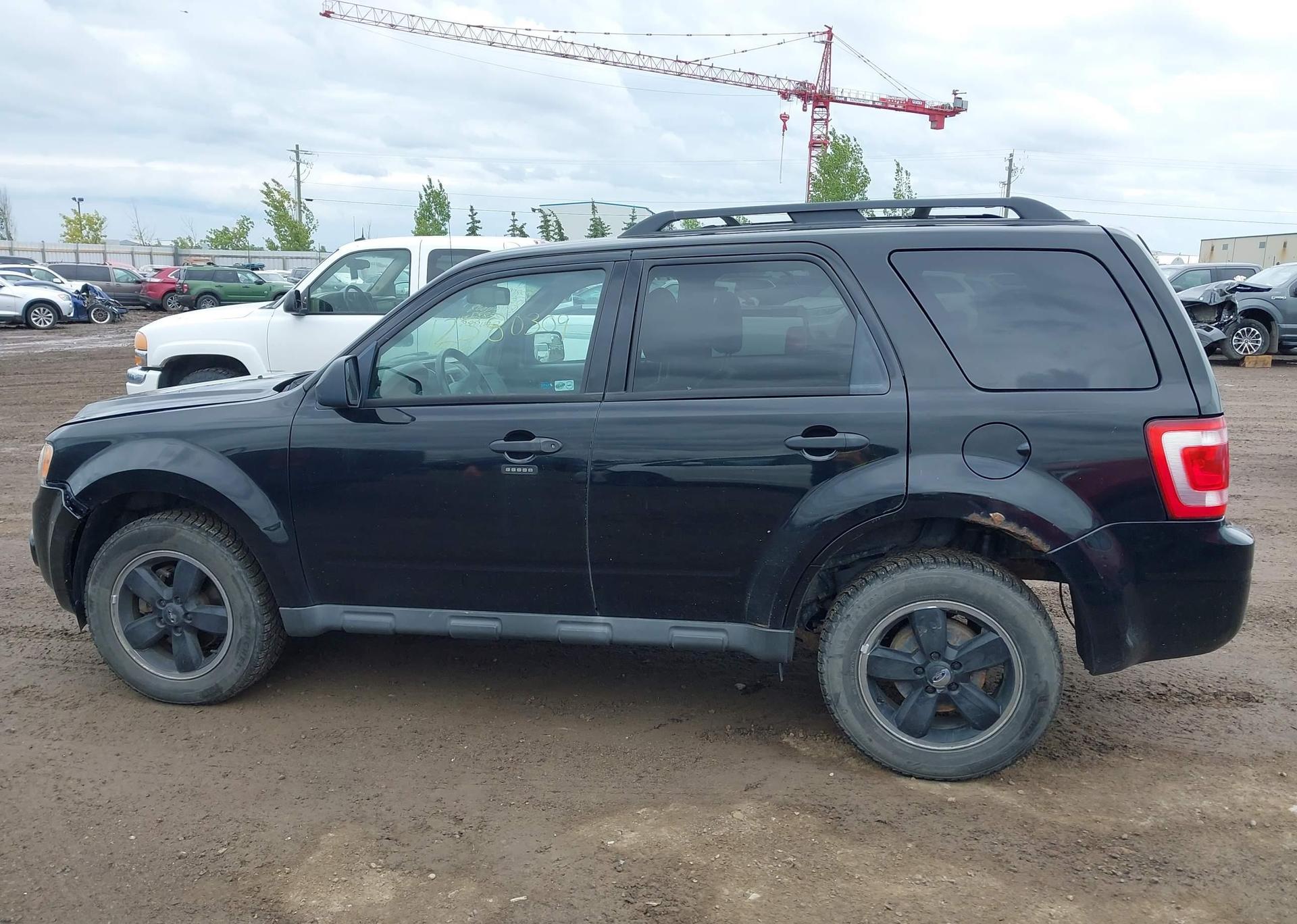 2010 FORD ESCAPE XLT