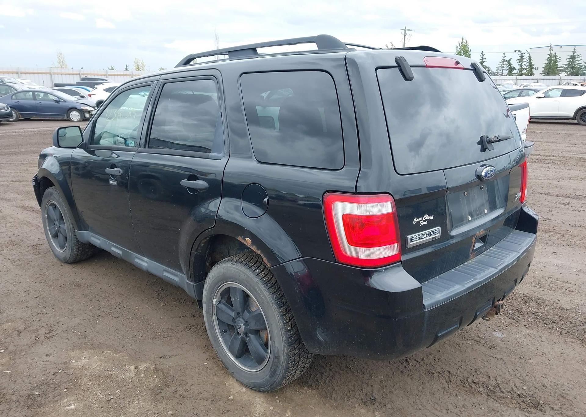 2010 FORD ESCAPE XLT