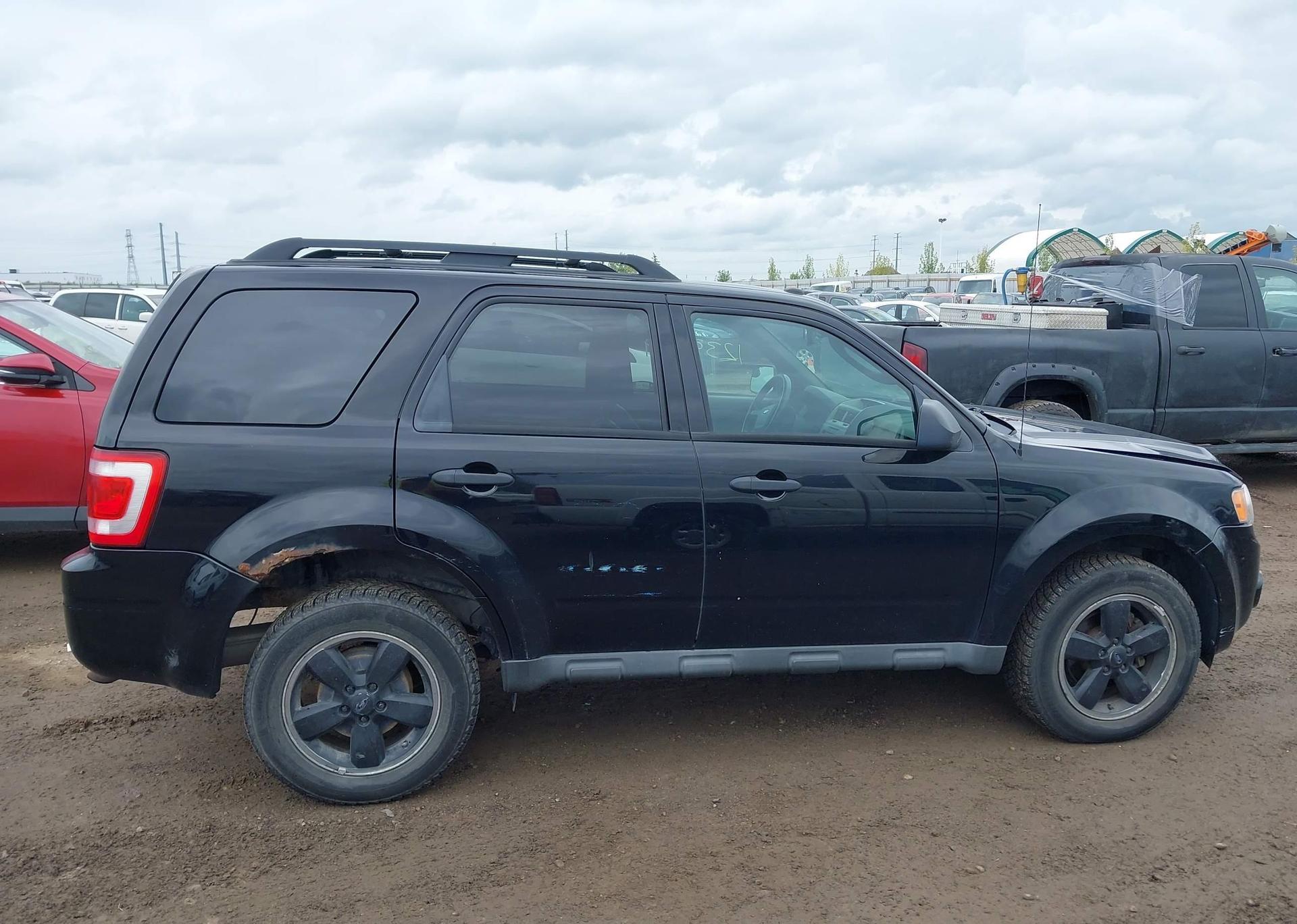 2010 FORD ESCAPE XLT