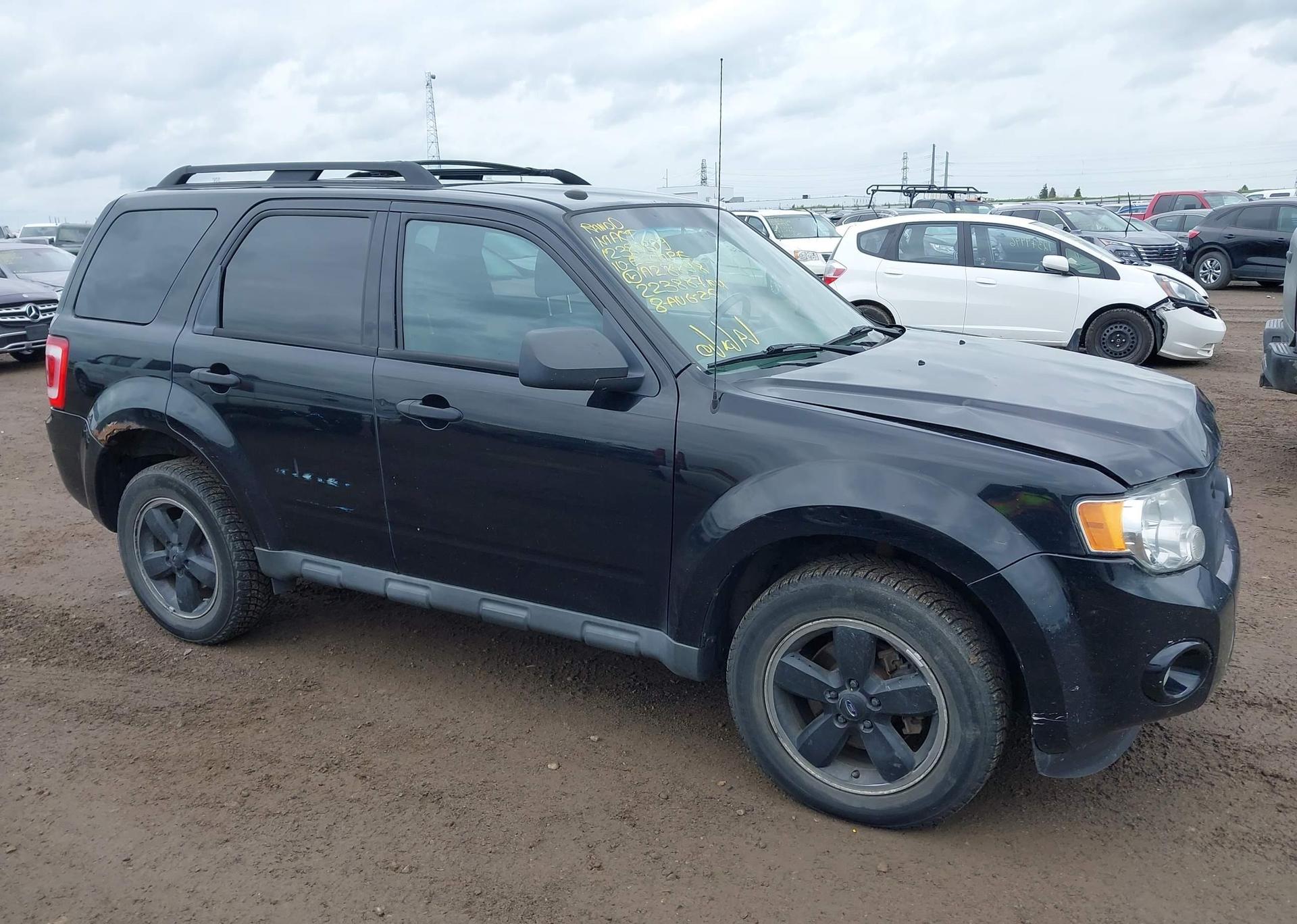 2010 FORD ESCAPE XLT