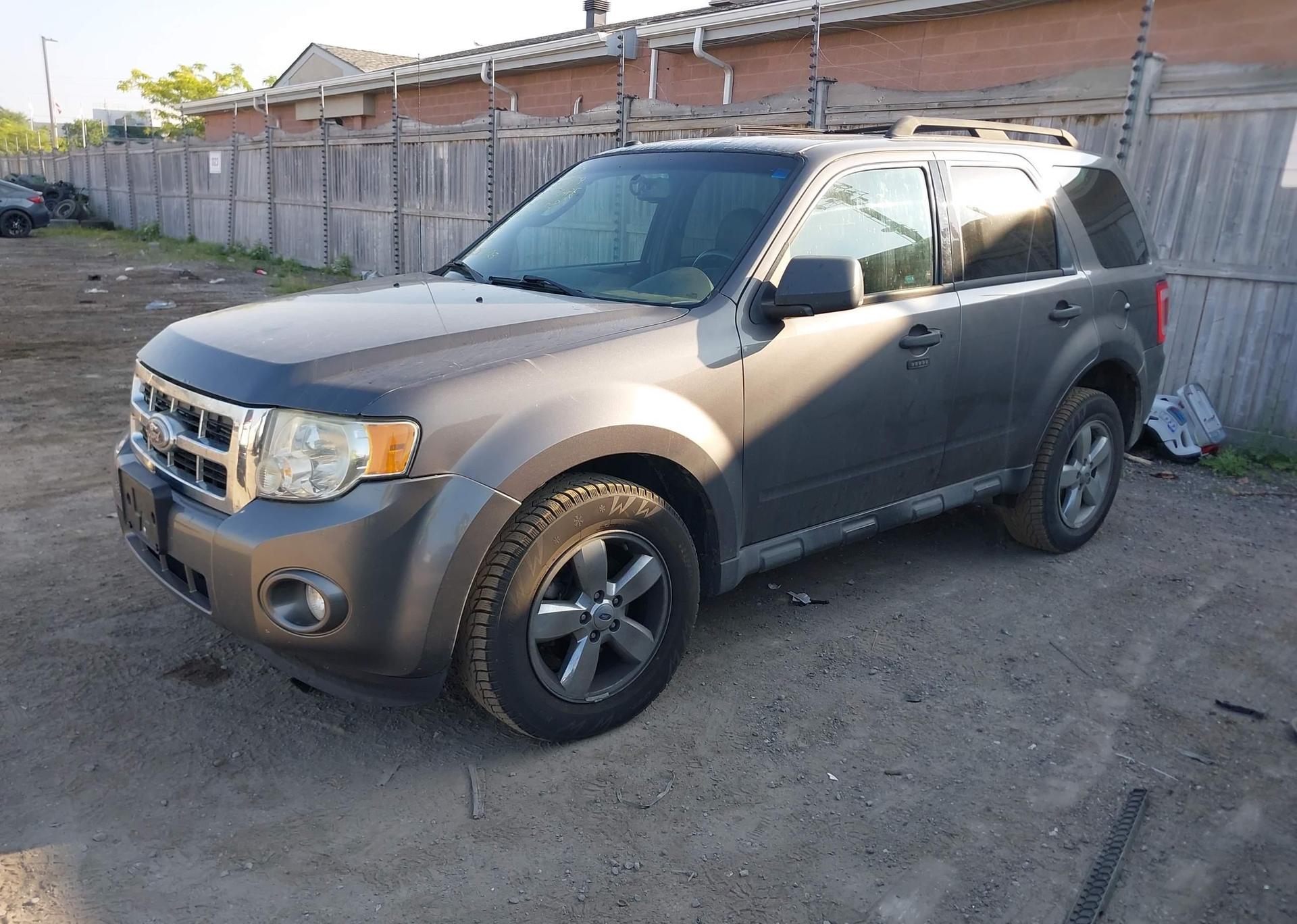 2010 FORD ESCAPE XLT