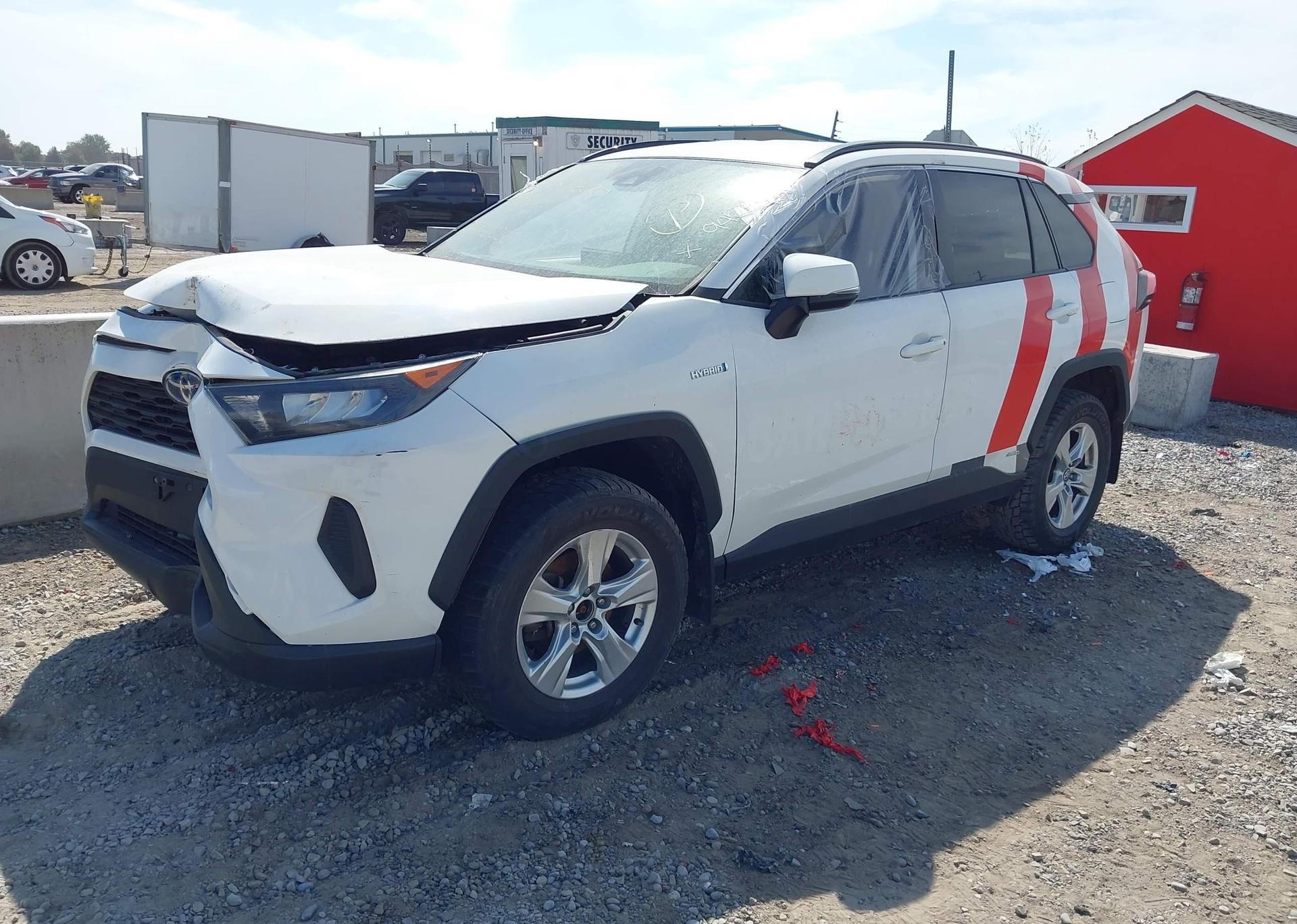 2019 TOYOTA RAV4 LE