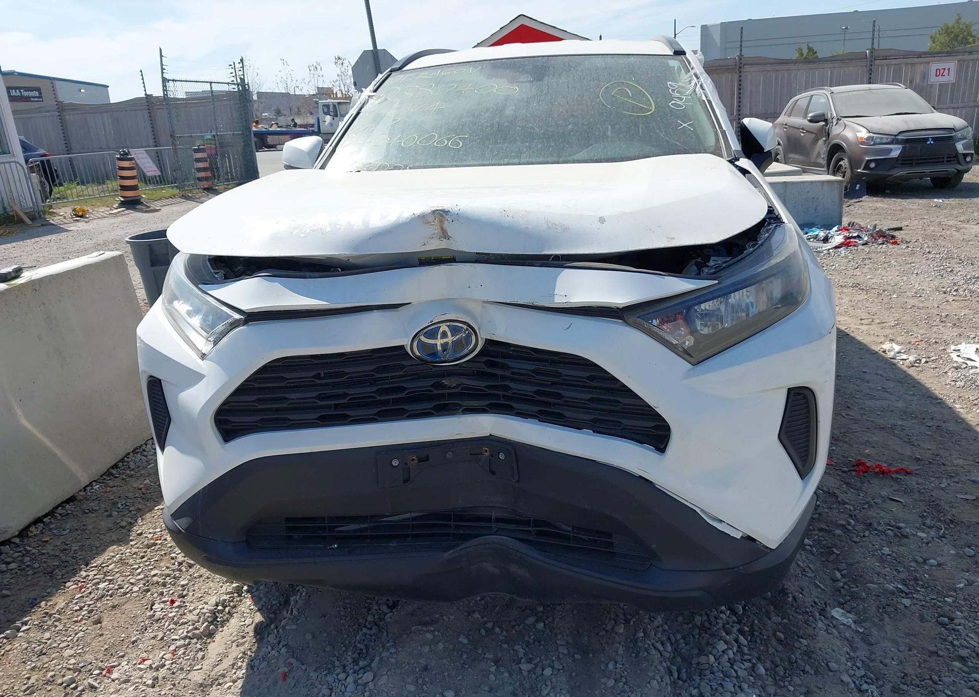 2019 TOYOTA RAV4 LE