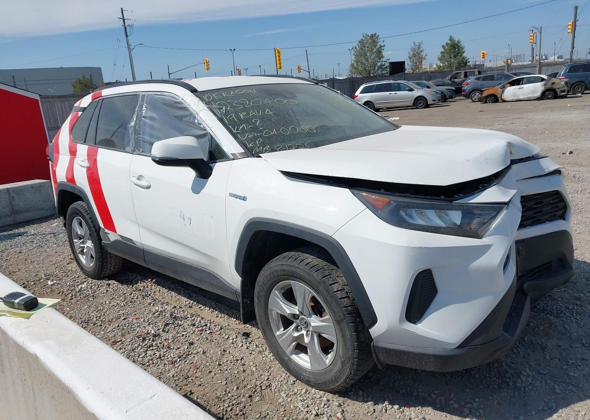 2019 TOYOTA RAV4 LE