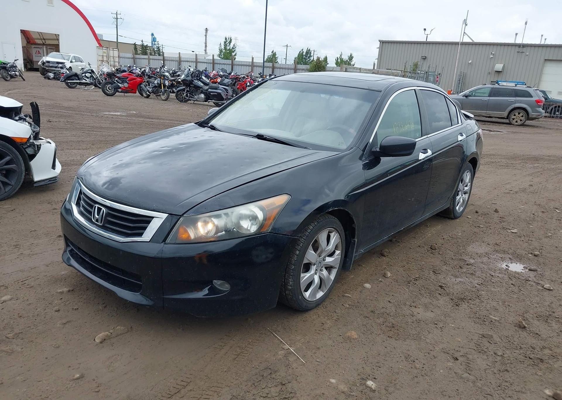 2010 HONDA ACCORD SEDAN