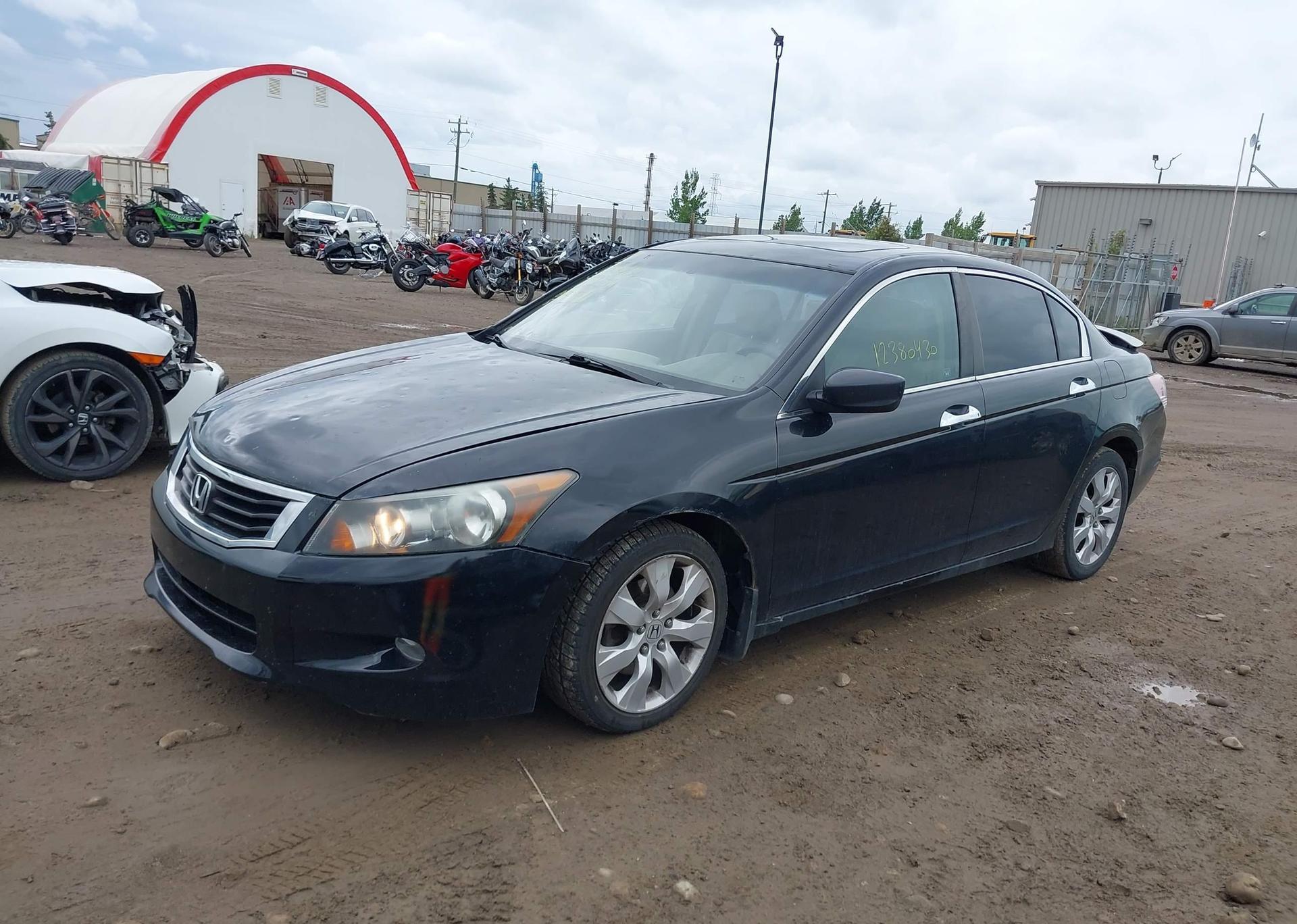 2010 HONDA ACCORD SEDAN