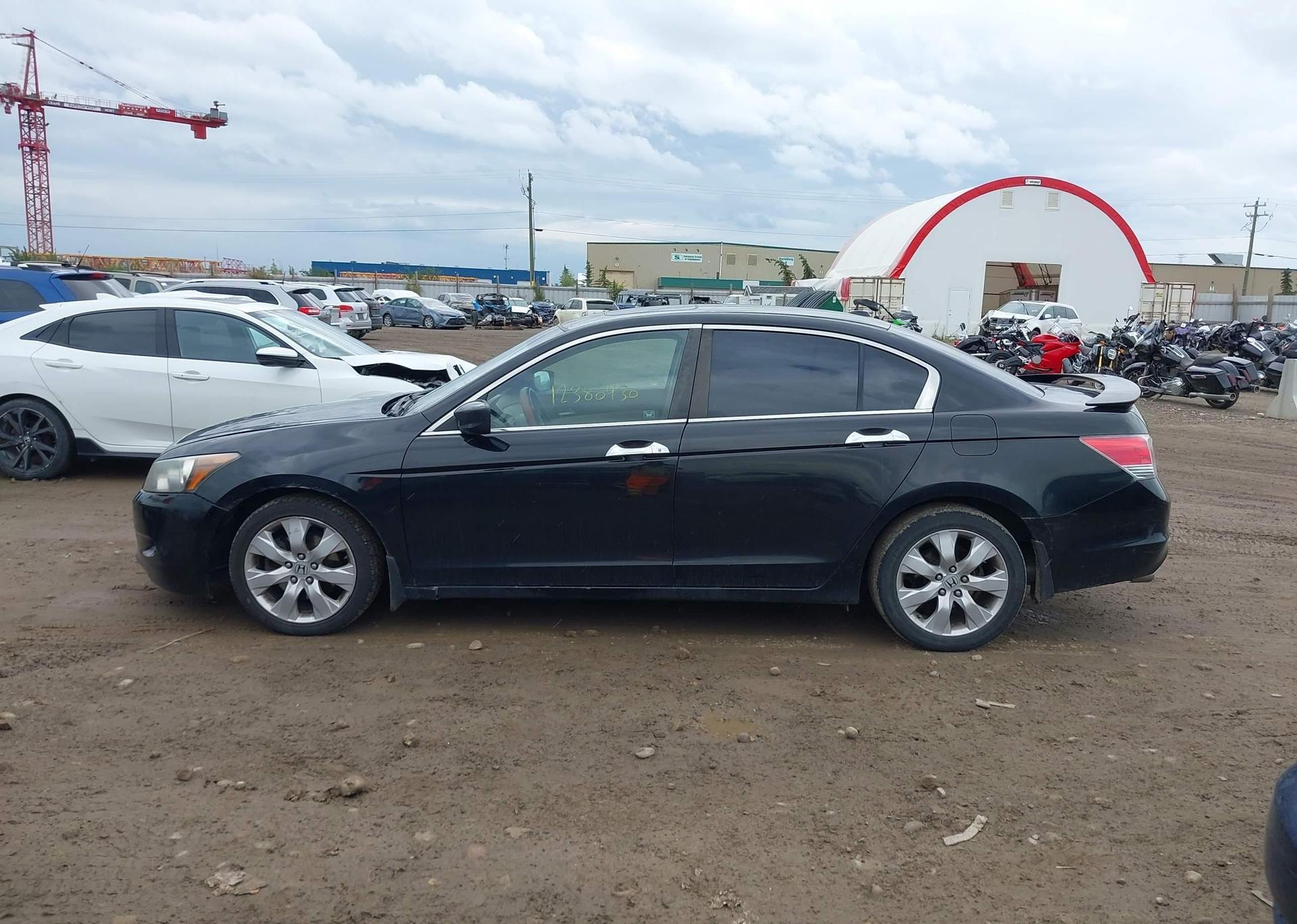 2010 HONDA ACCORD SEDAN