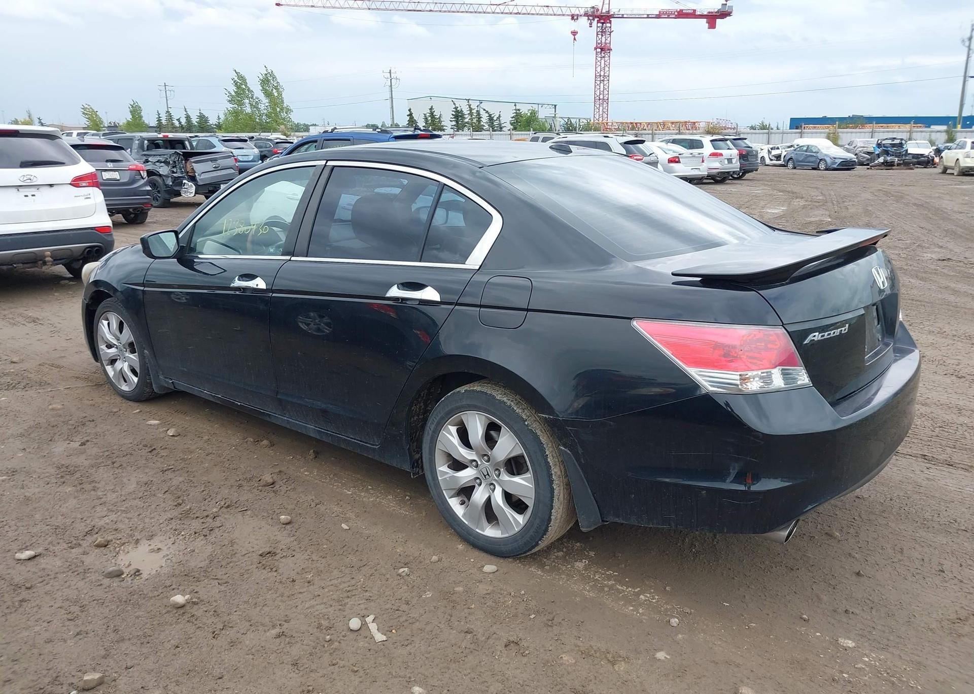 2010 HONDA ACCORD SEDAN