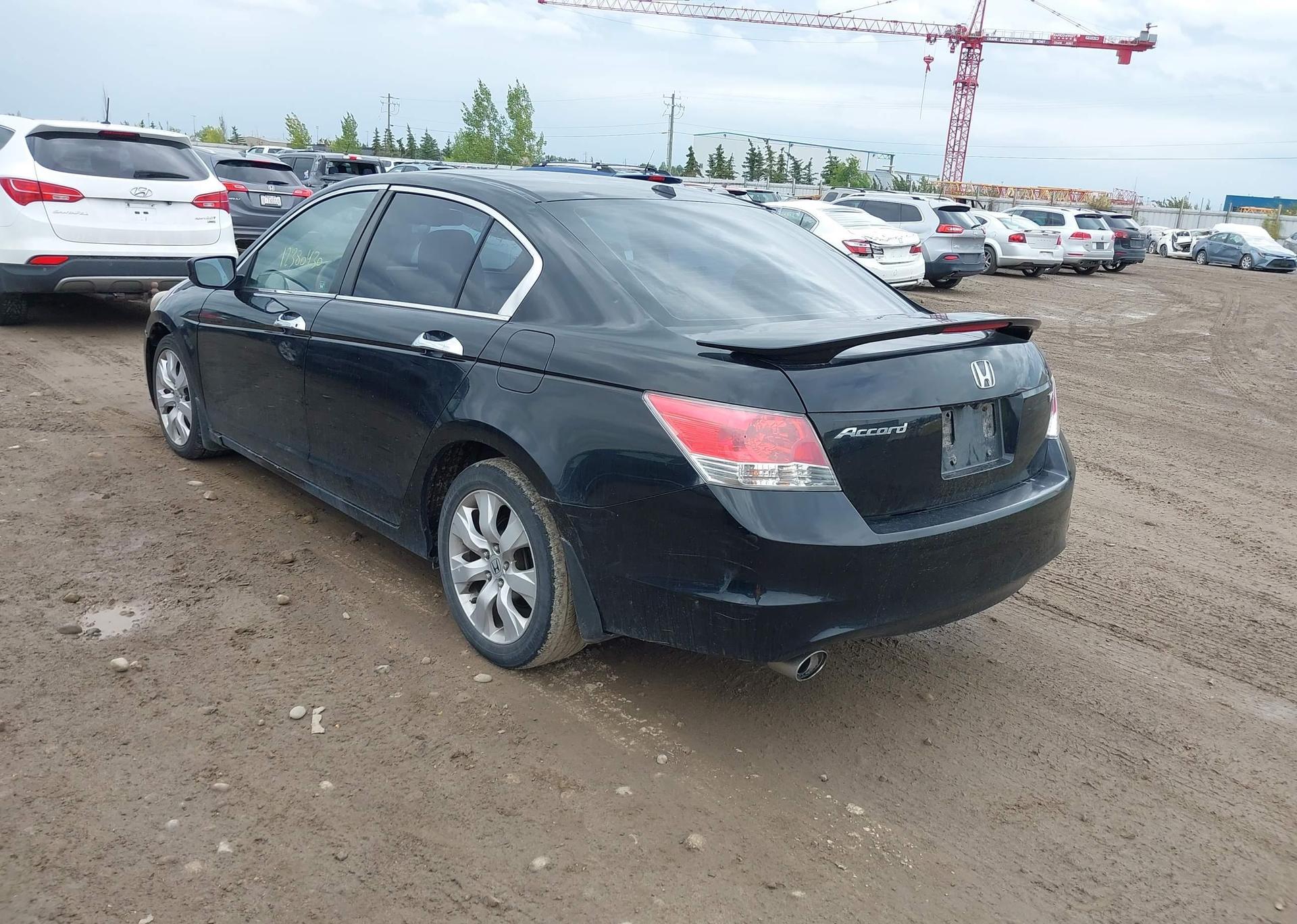 2010 HONDA ACCORD SEDAN