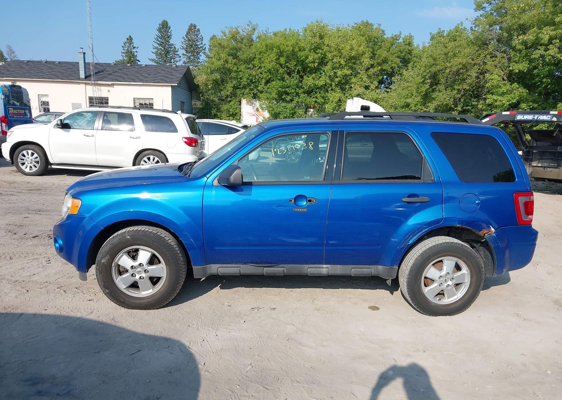 2011 FORD ESCAPE XLT