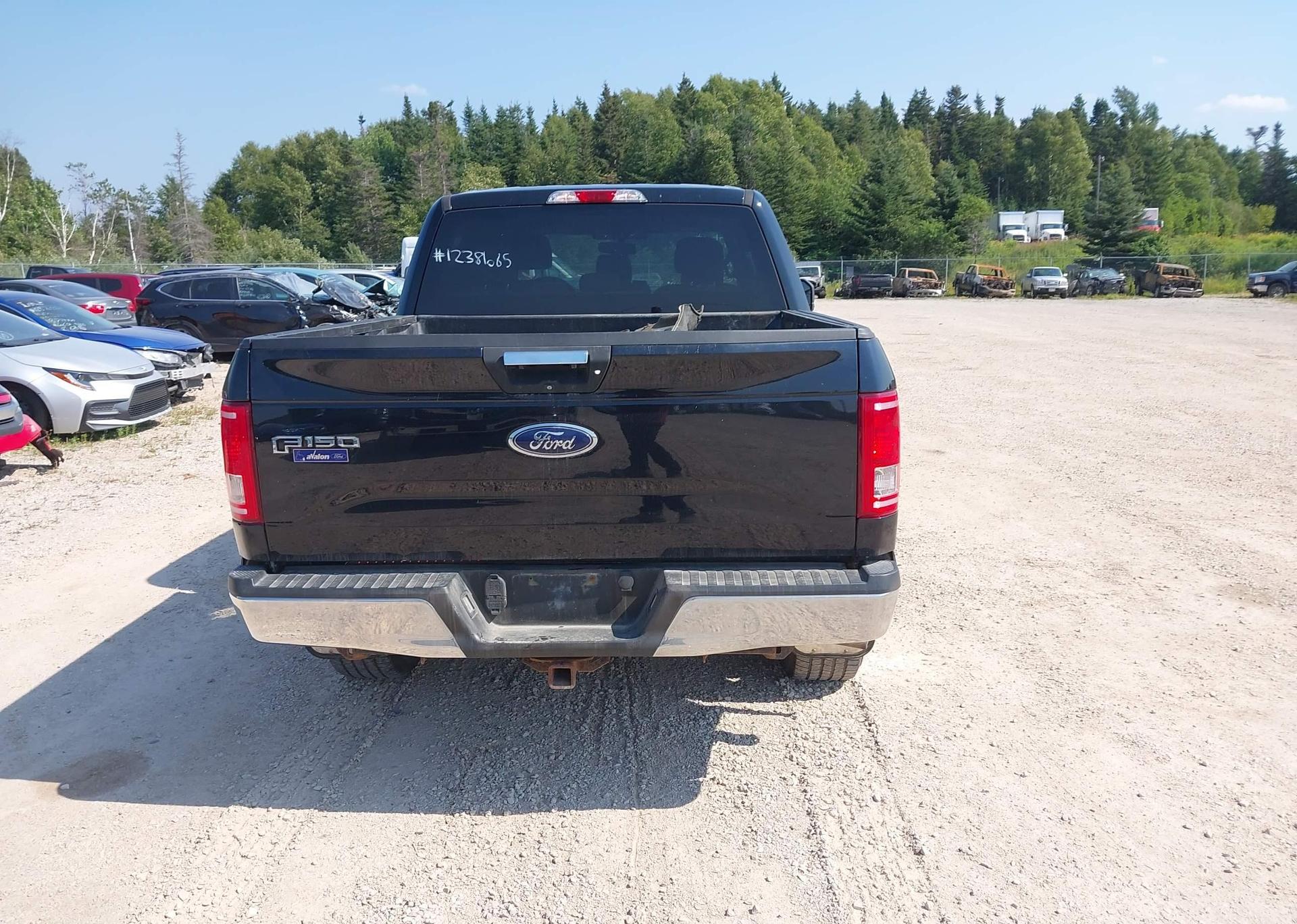 2016 FORD F-150 XLT