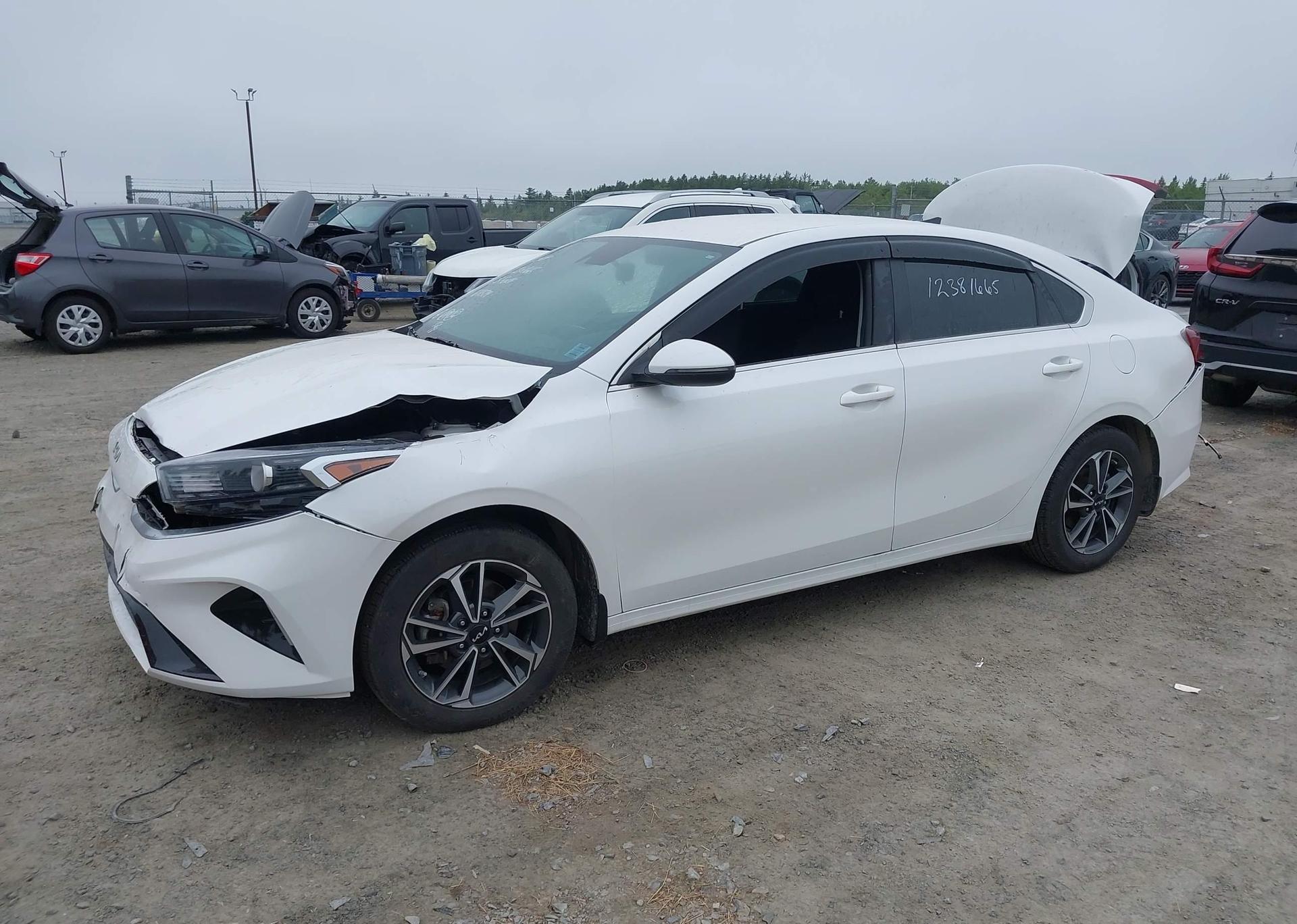 2023 KIA FORTE EX