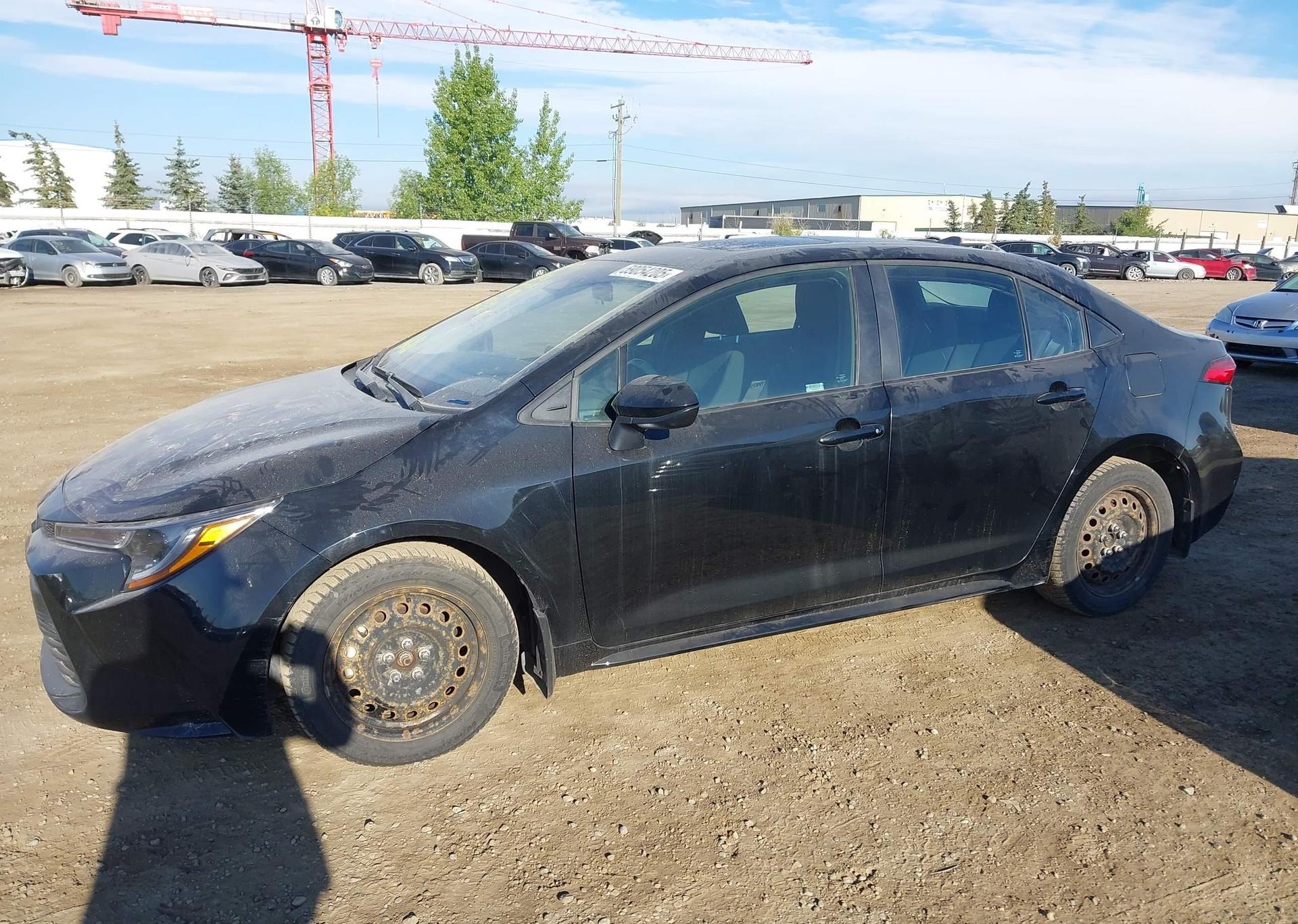 2023 TOYOTA COROLLA LE