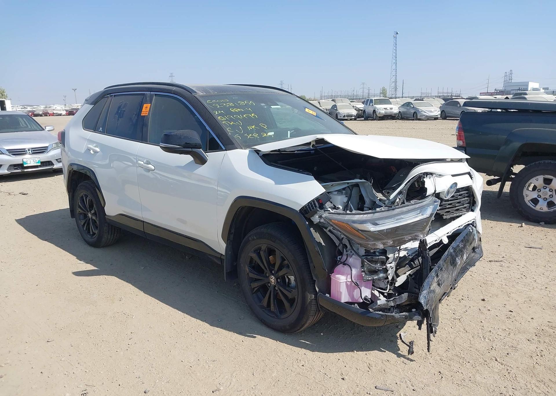 2024 TOYOTA RAV4 HYBRID XSE