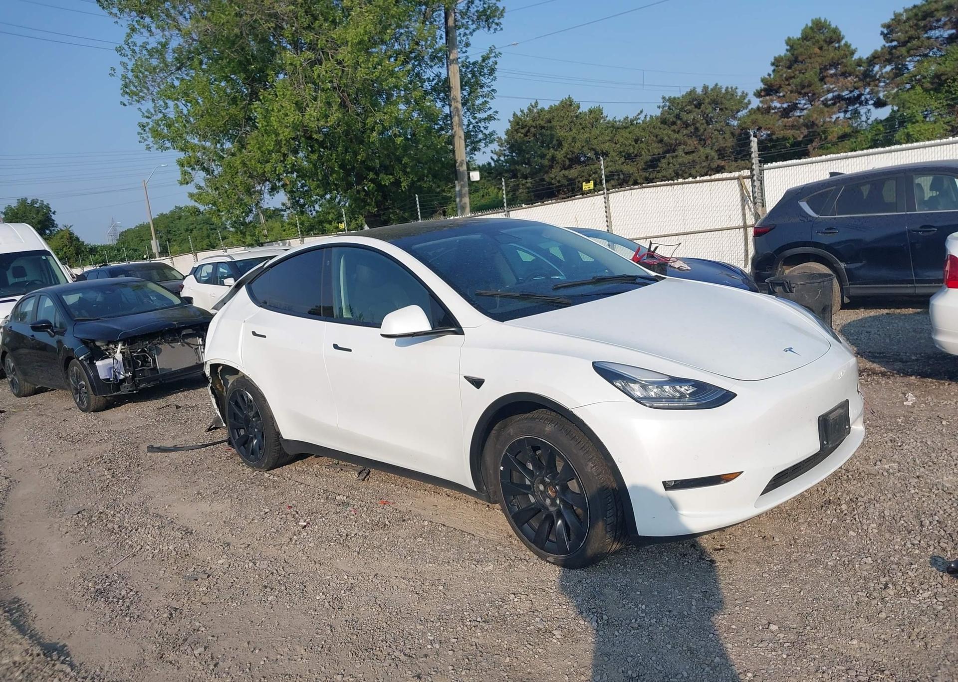 2022 TESLA MODEL Y