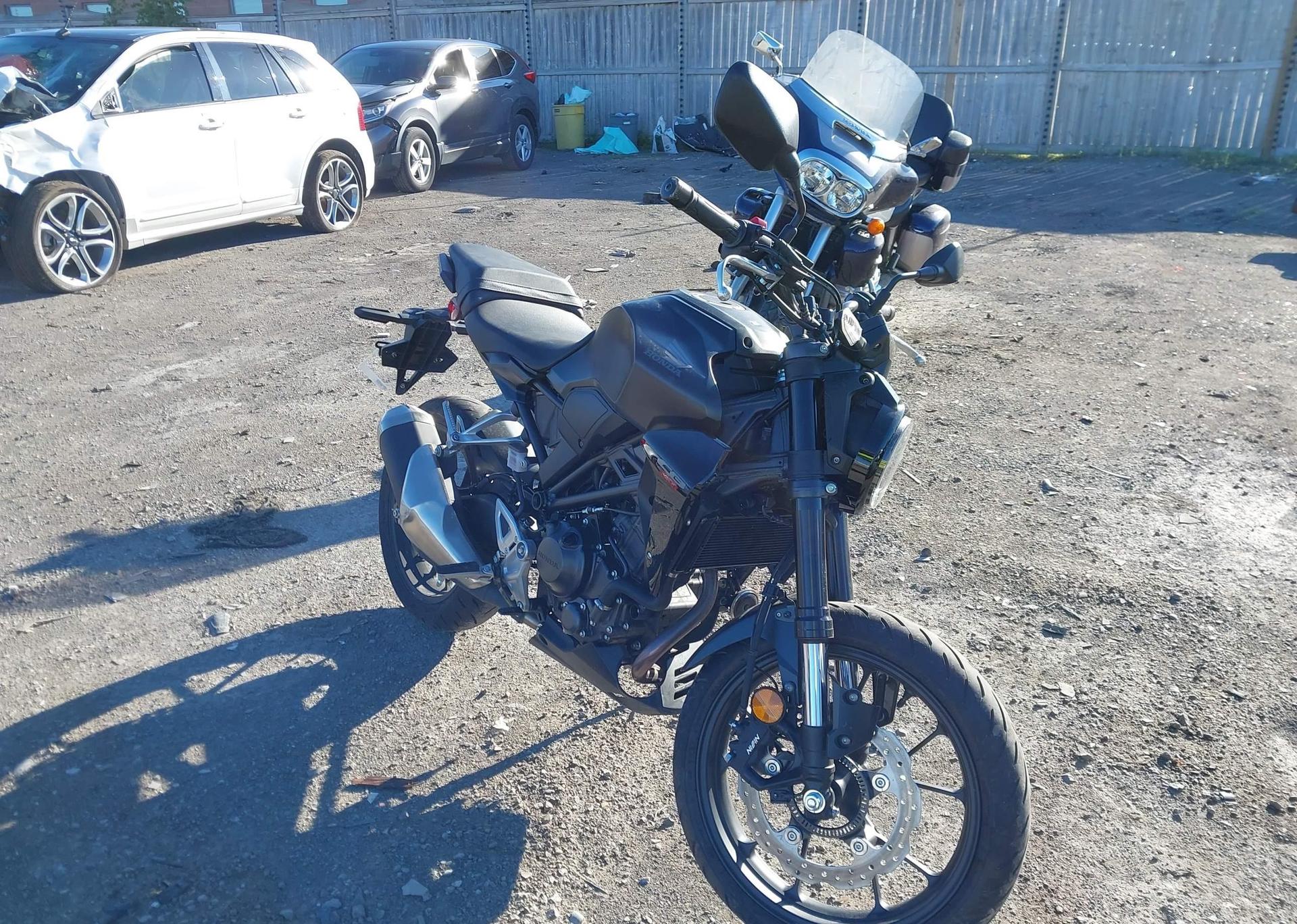 2024 HONDA CB300 RA