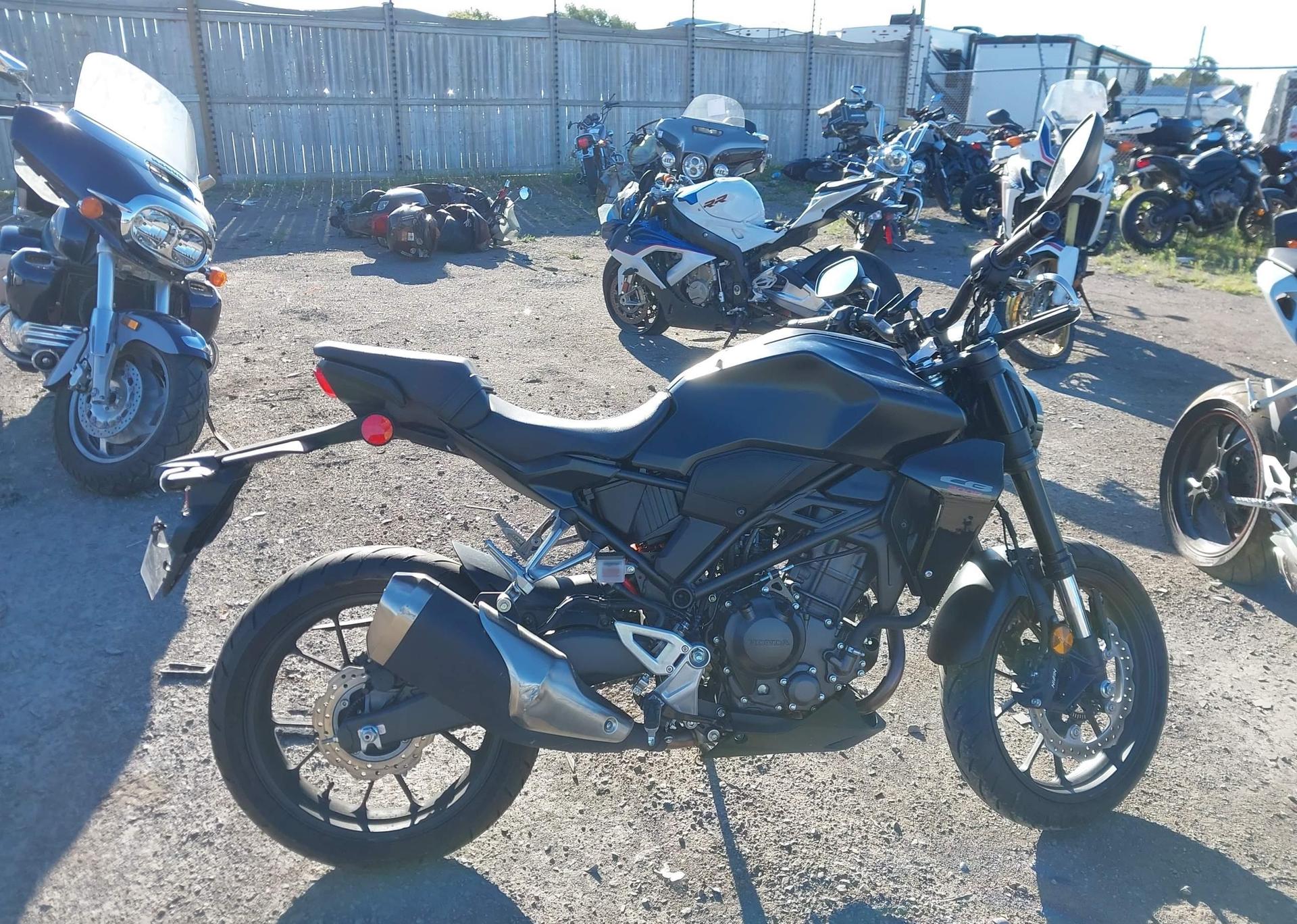 2024 HONDA CB300 RA