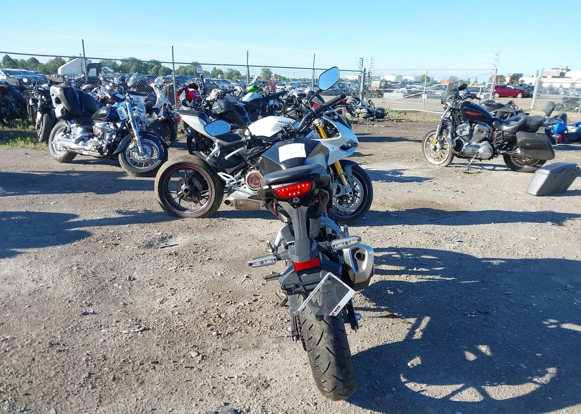 2024 HONDA CB300 RA