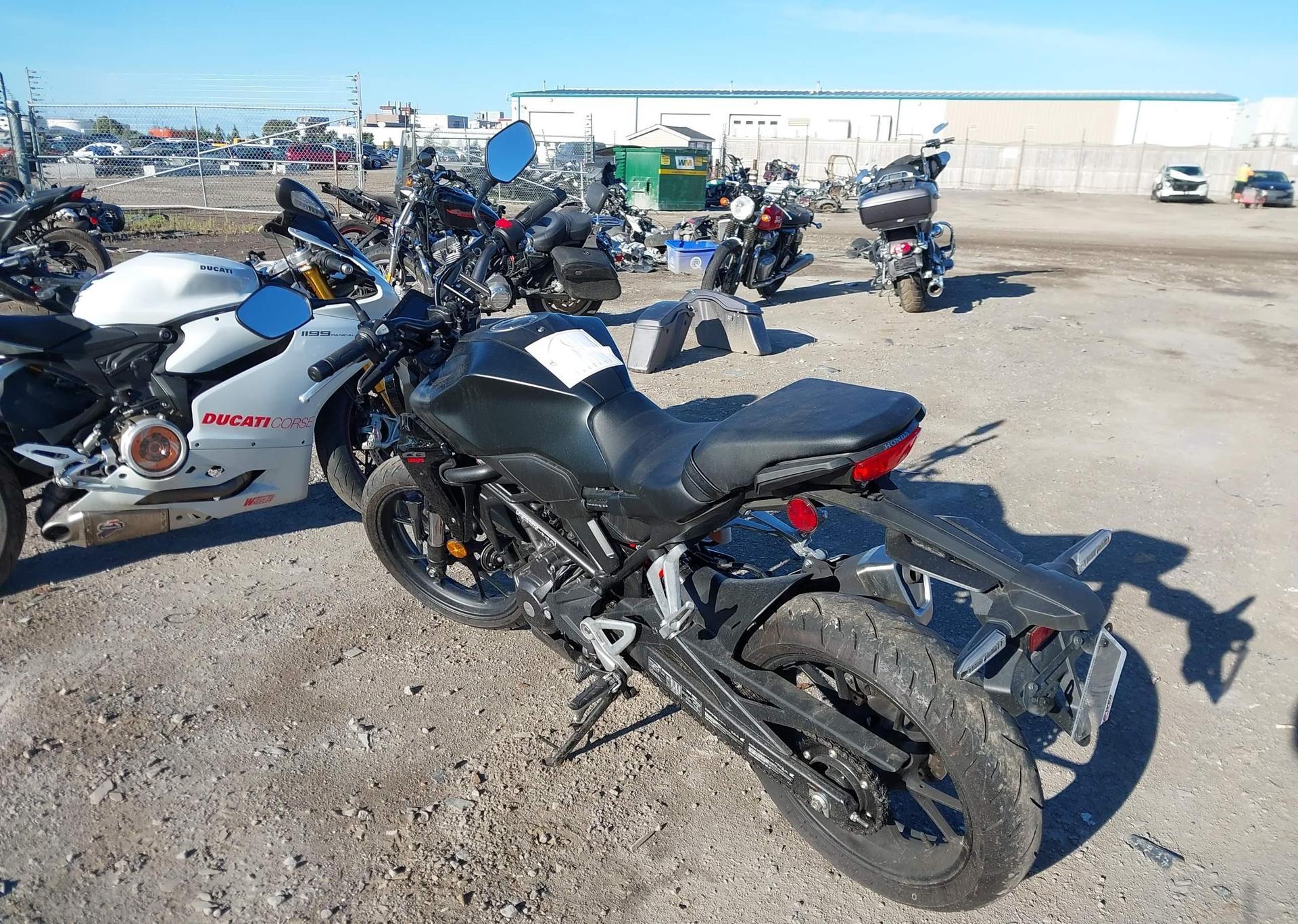 2024 HONDA CB300 RA