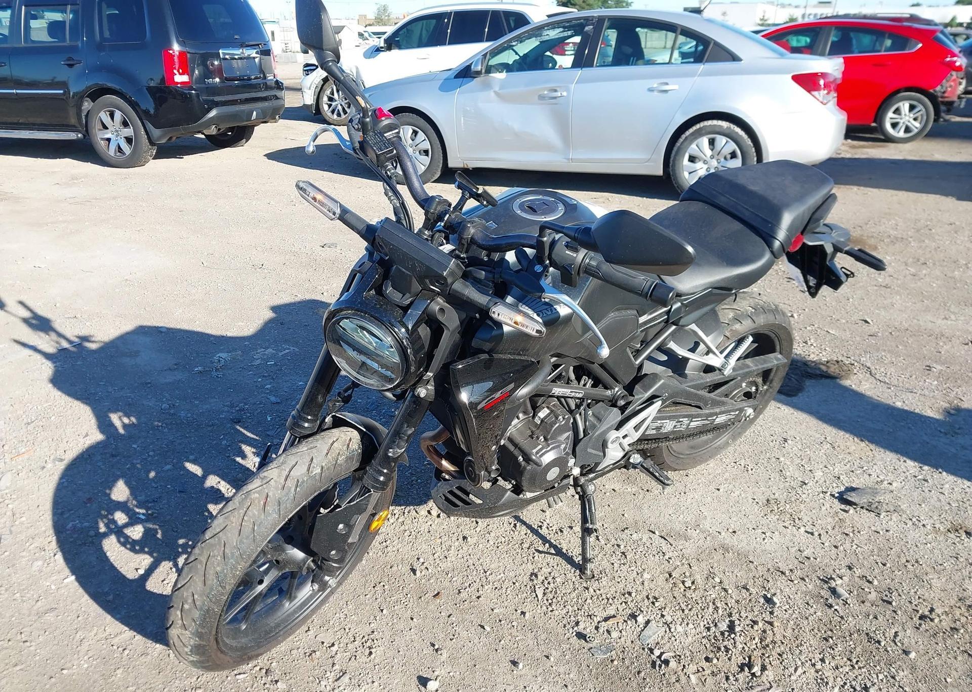 2024 HONDA CB300 RA